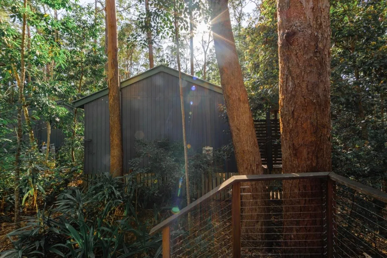 Amore On Buderim Rainforest Cabins