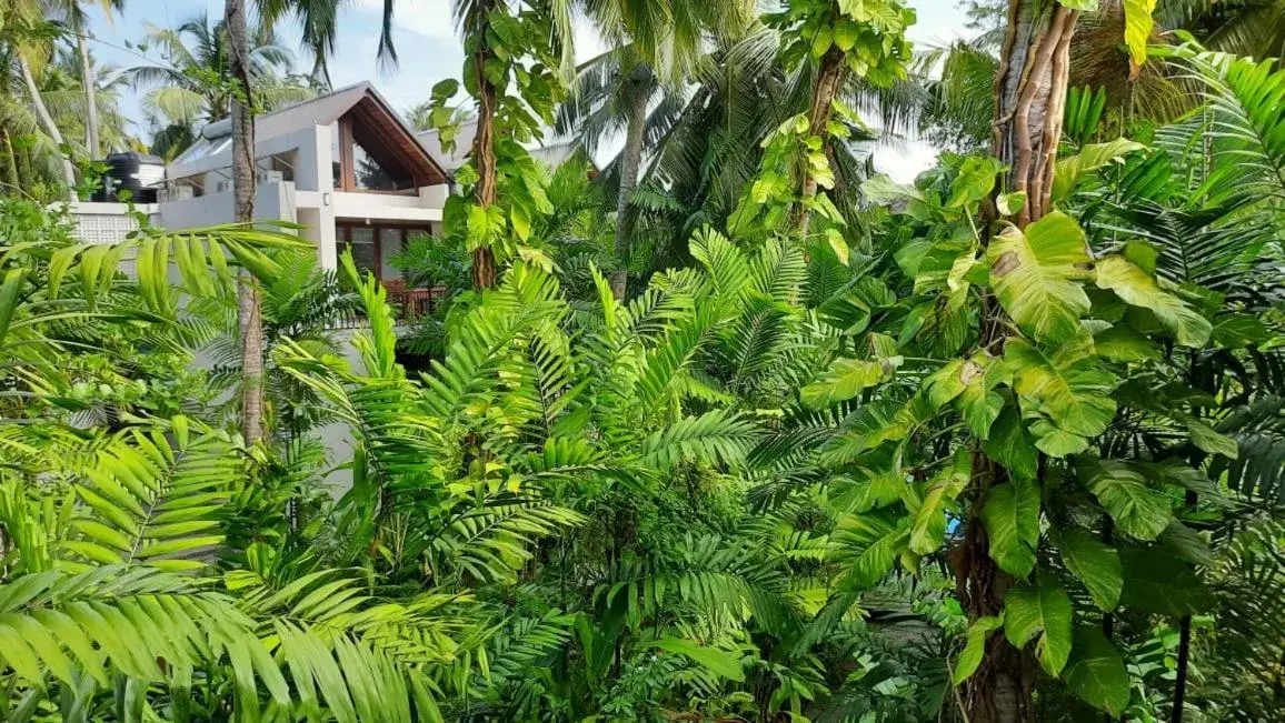 Family Junior Suite in Nirmala Villa Family Junior Suite in Nirmala Villa