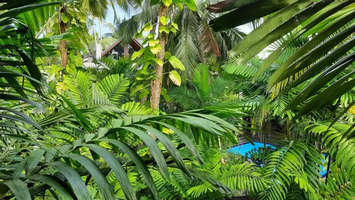 Superior Chalet in Nirmala Villa Superior Chalet in Nirmala Villa