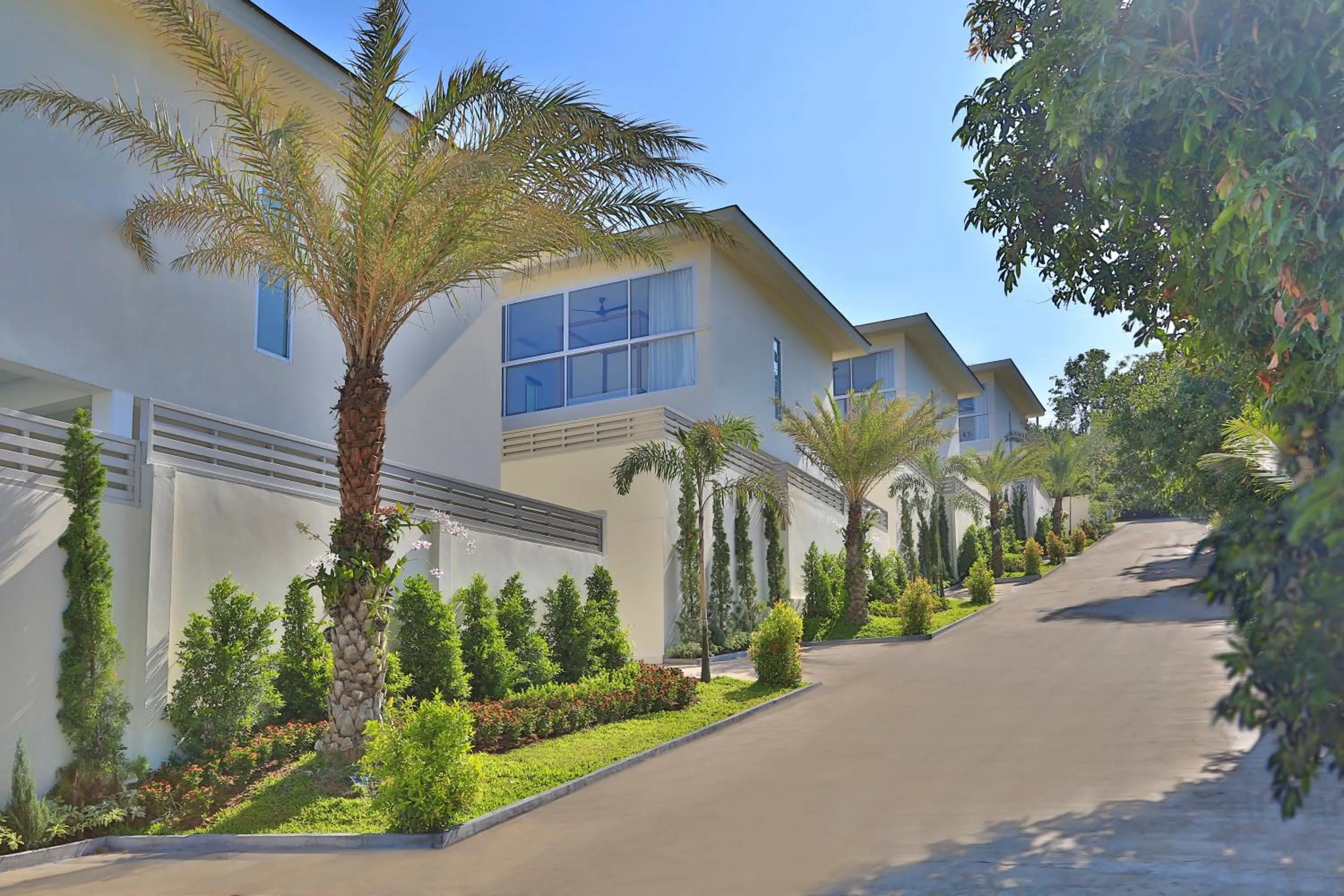 Area and facilities in Samui Blue Orchid - Adult Only