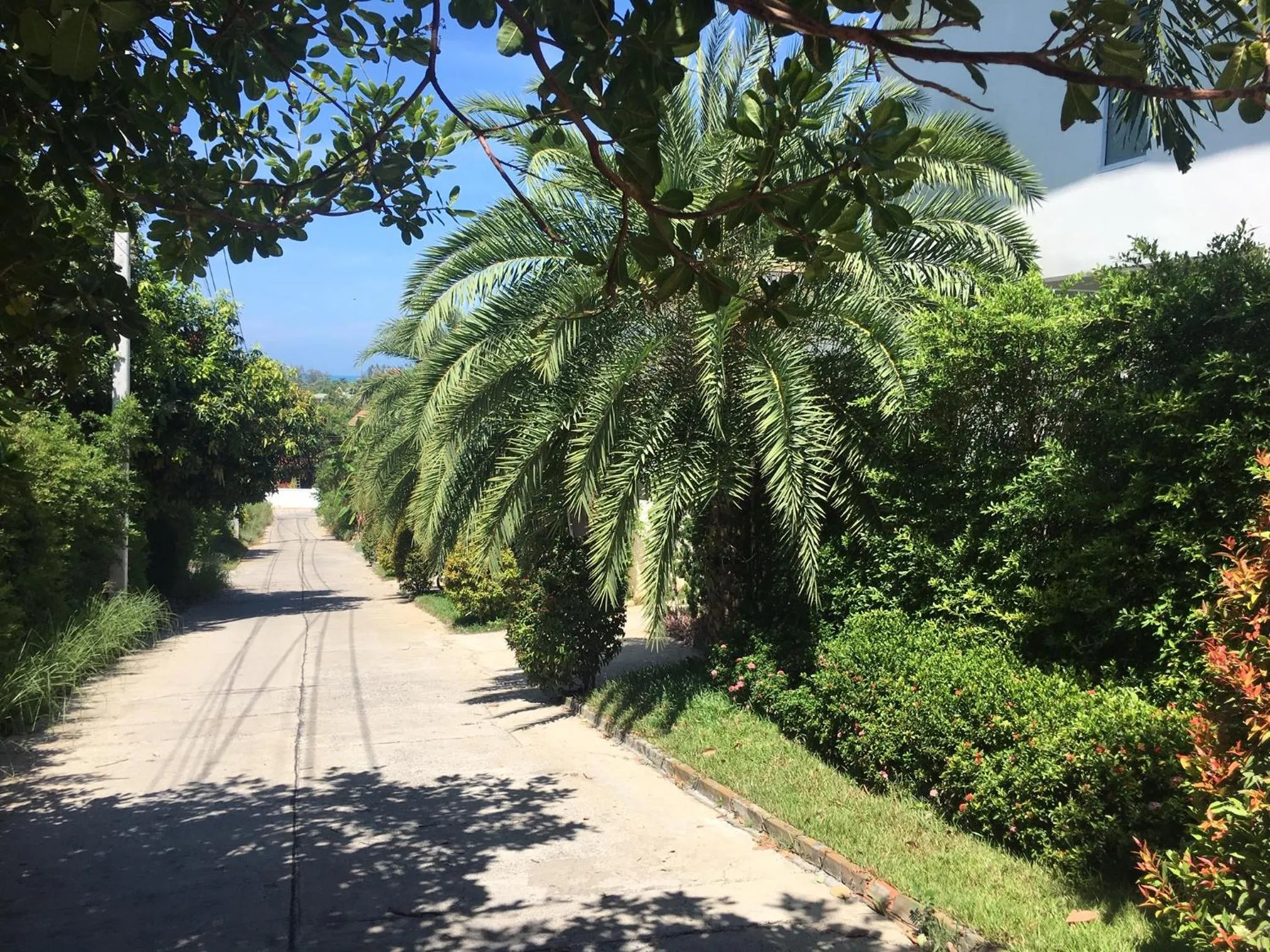 Garden in Samui Blue Orchid - Adult Only