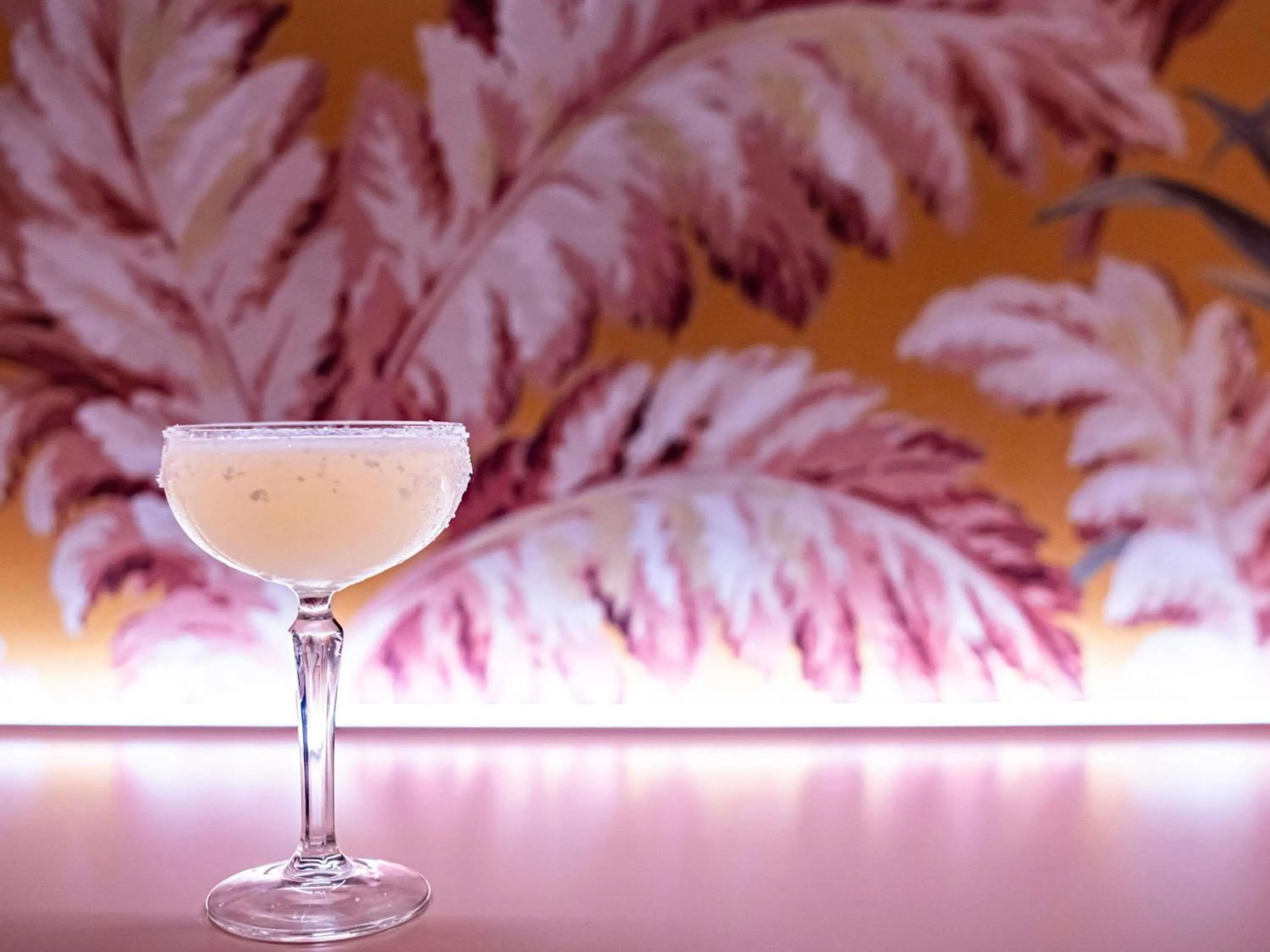 Lounge or bar in The Sebel Kiama