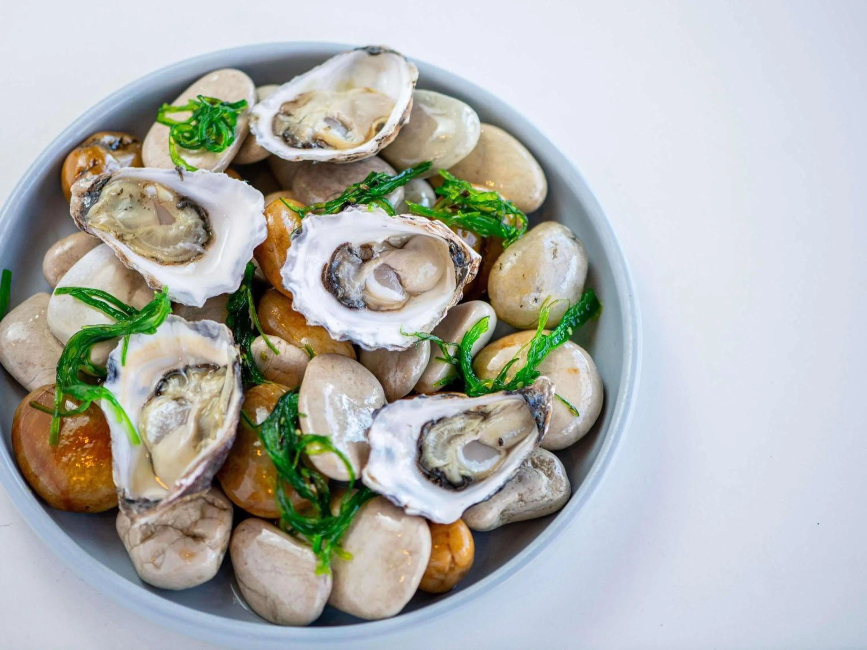 Restaurant/places to eat in The Sebel Kiama