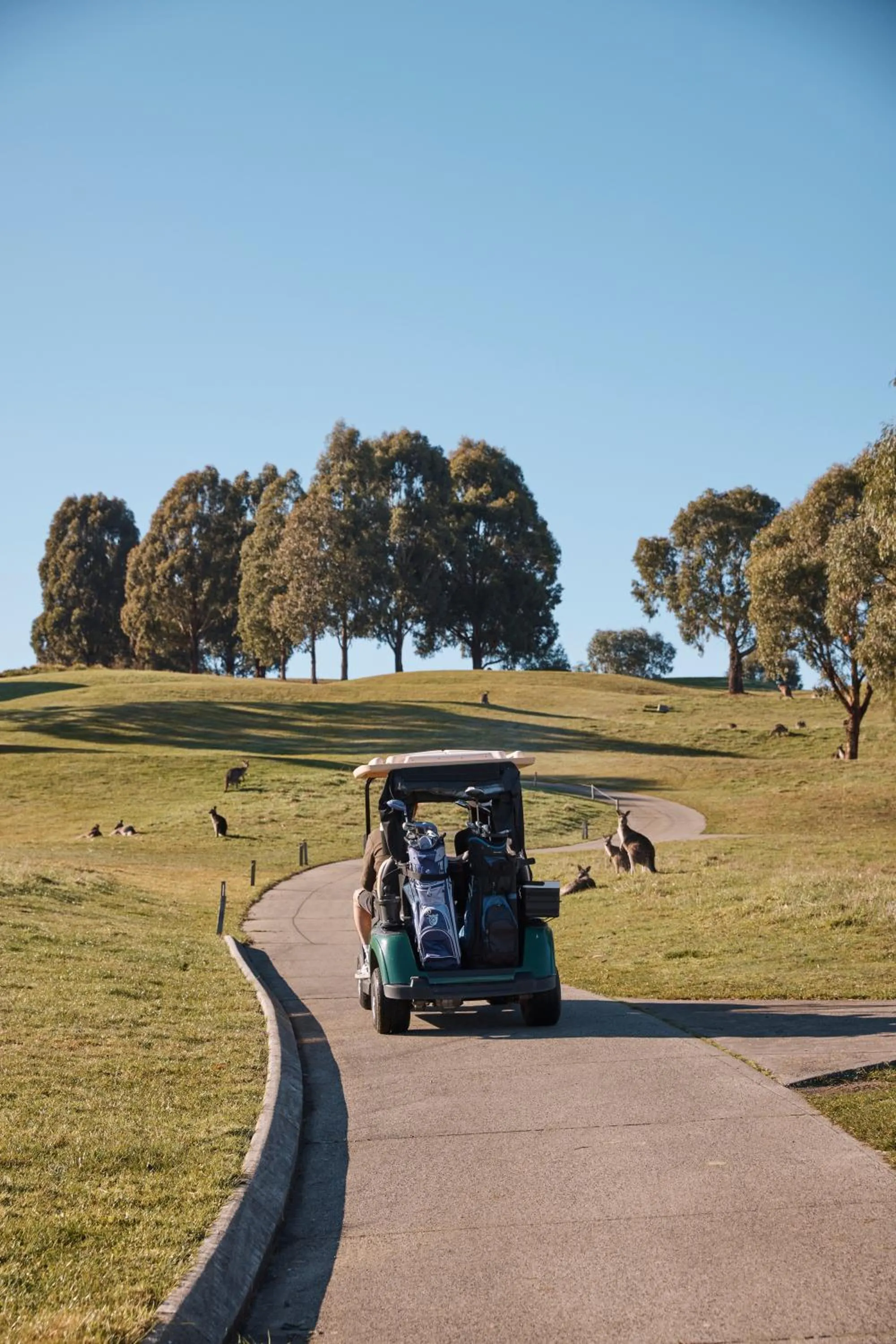 Golfcourse in Yarra Valley Lodge