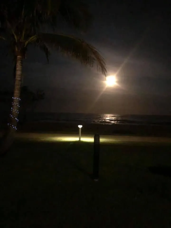 San Simeon Beachfront Apartments Tugun