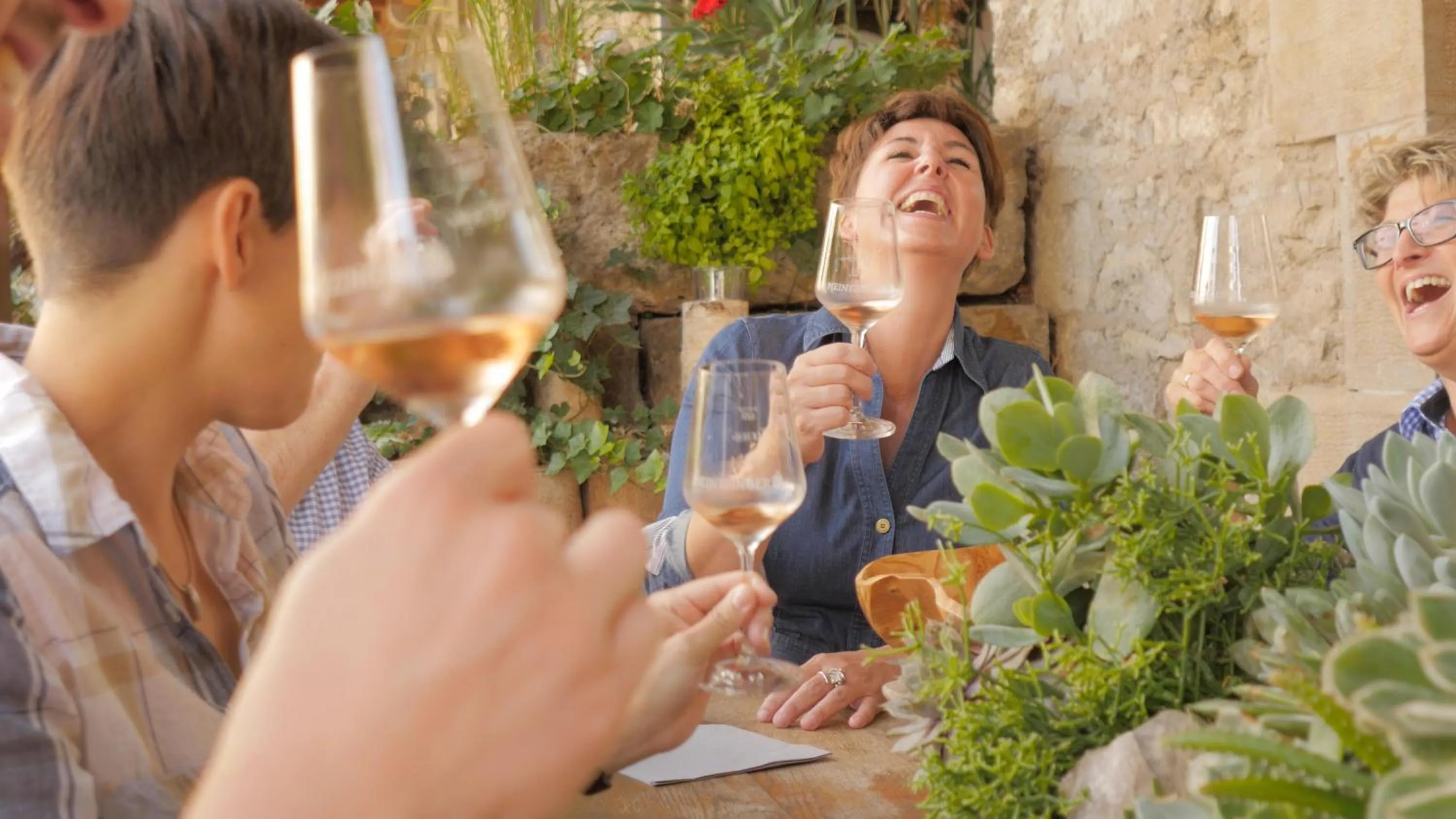 Activities in Hotel / Weingut Meintzinger