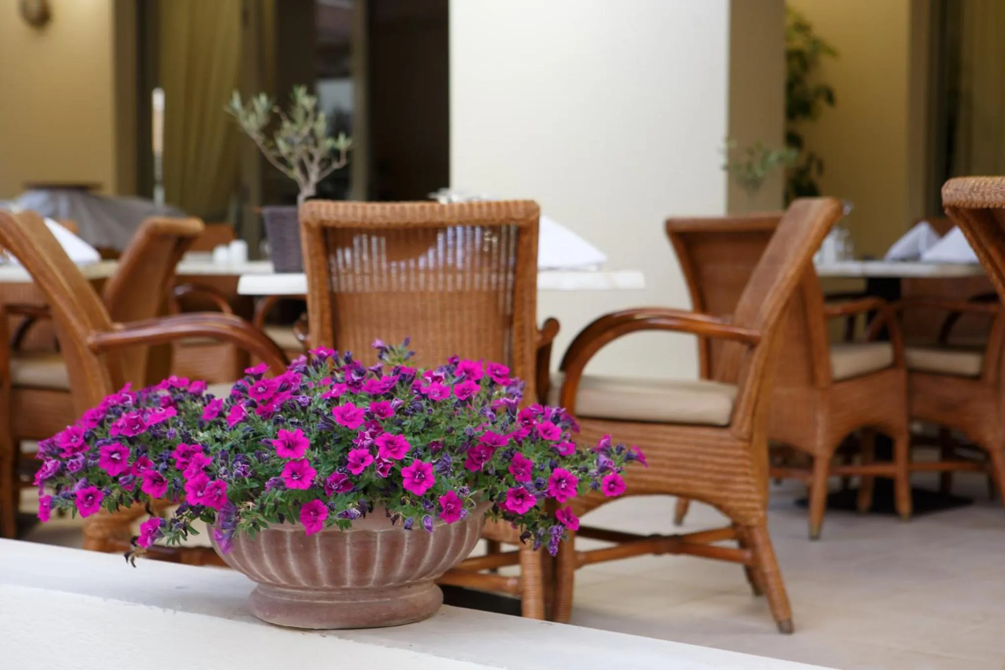 Property building in Giannoulis - Santa Marina Plaza (Adults Only)