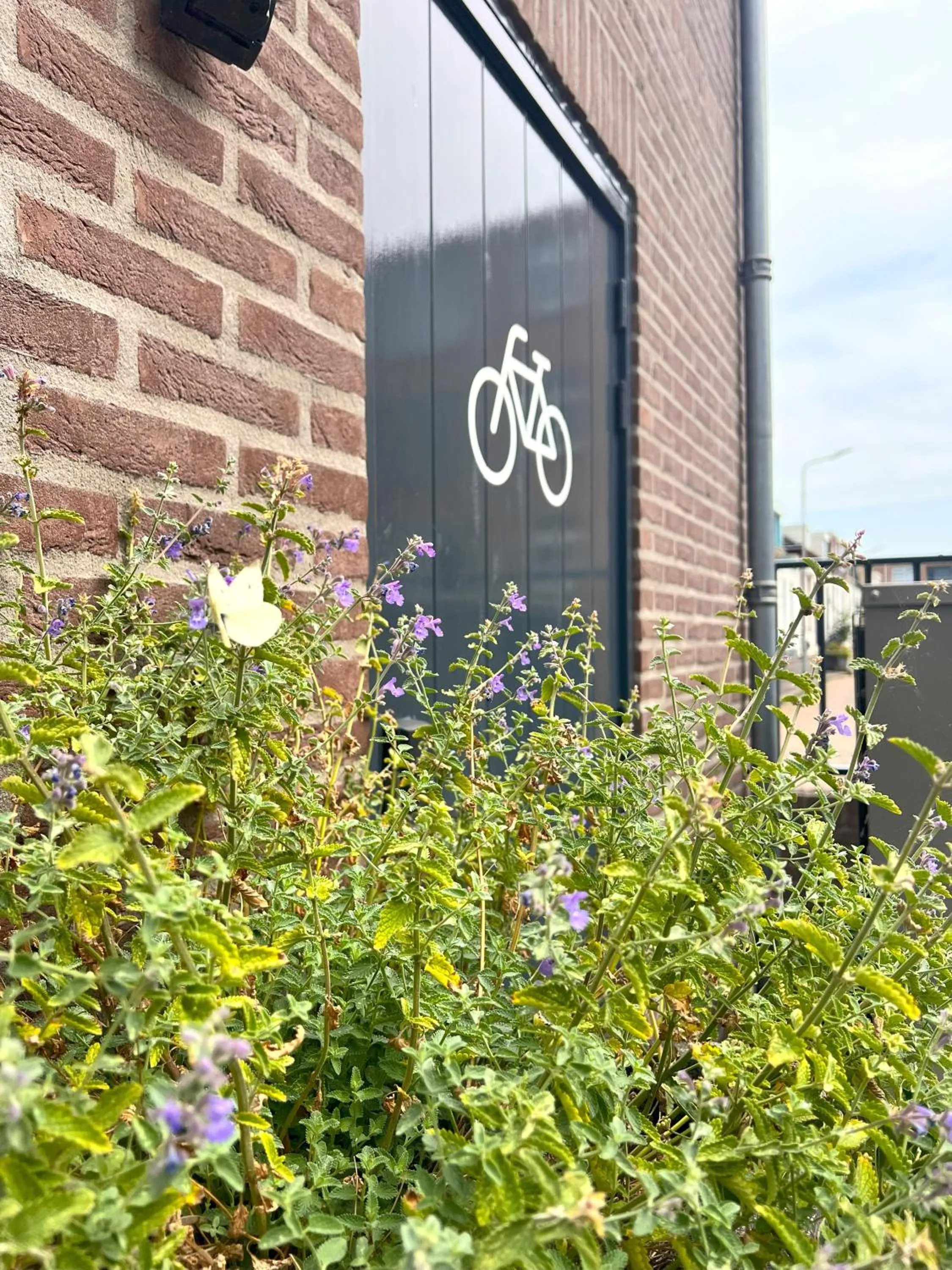 Cycling in Hotel Loskade 45