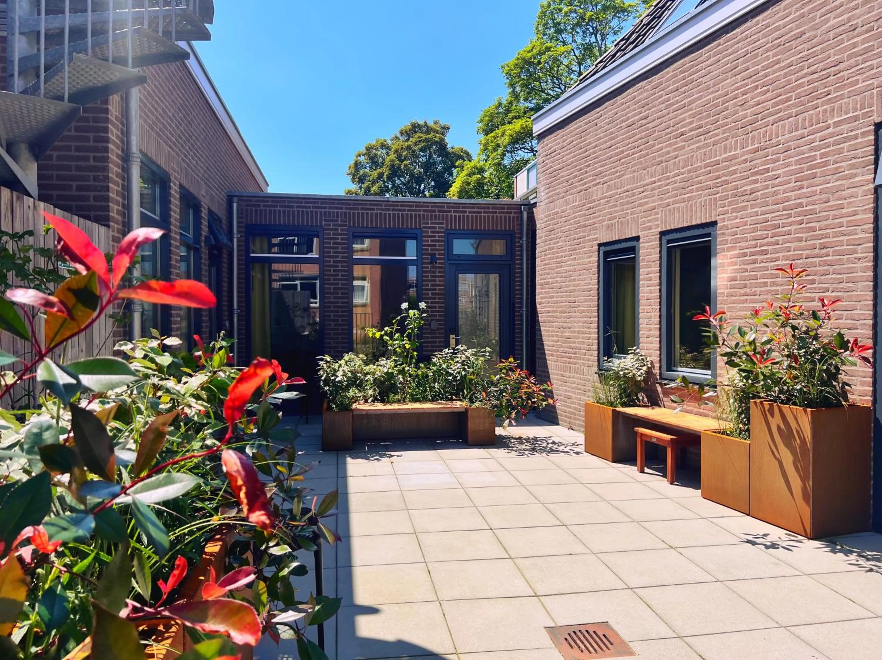 Garden in Hotel Loskade 45