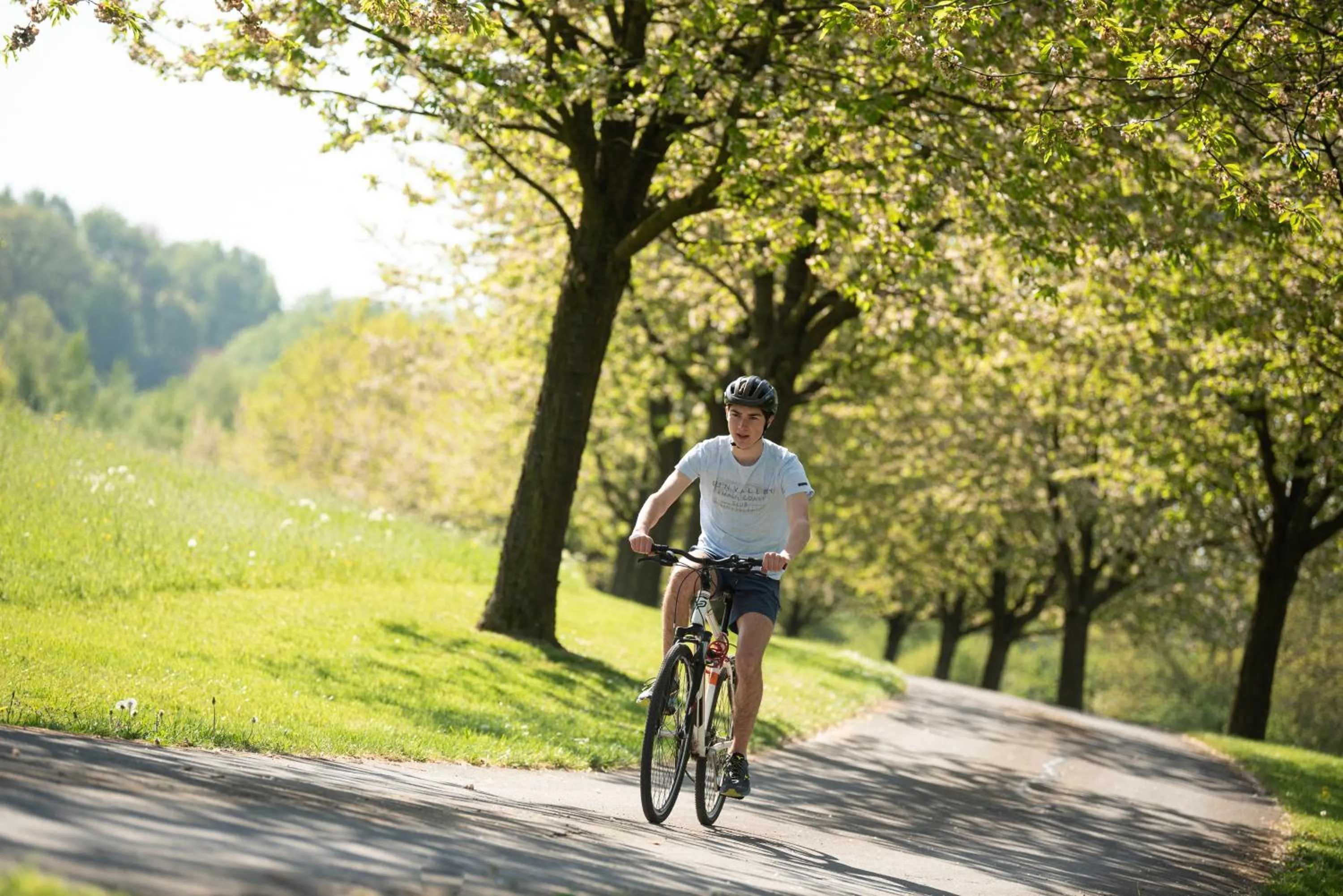 Spring in côté verger B&B