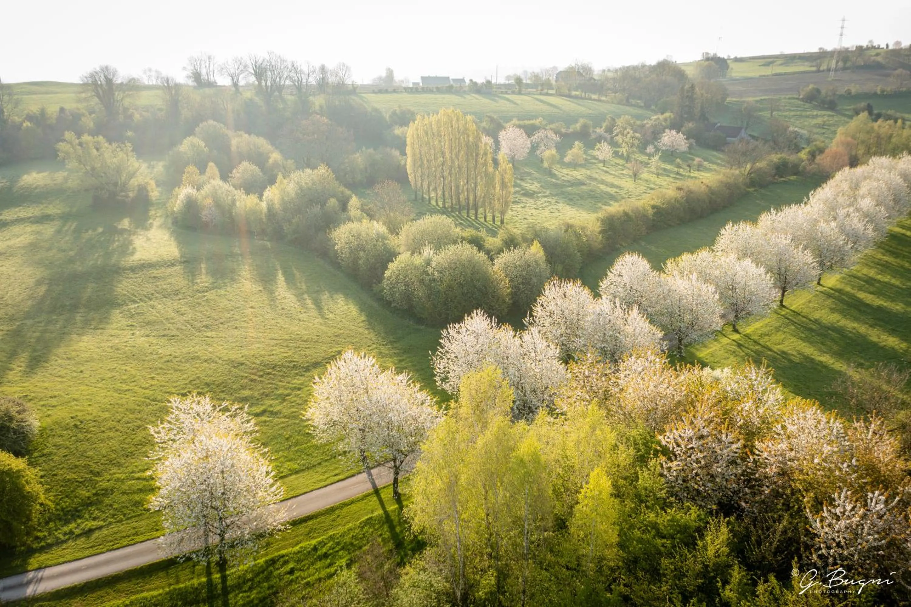 Natural landscape in côté verger B&B