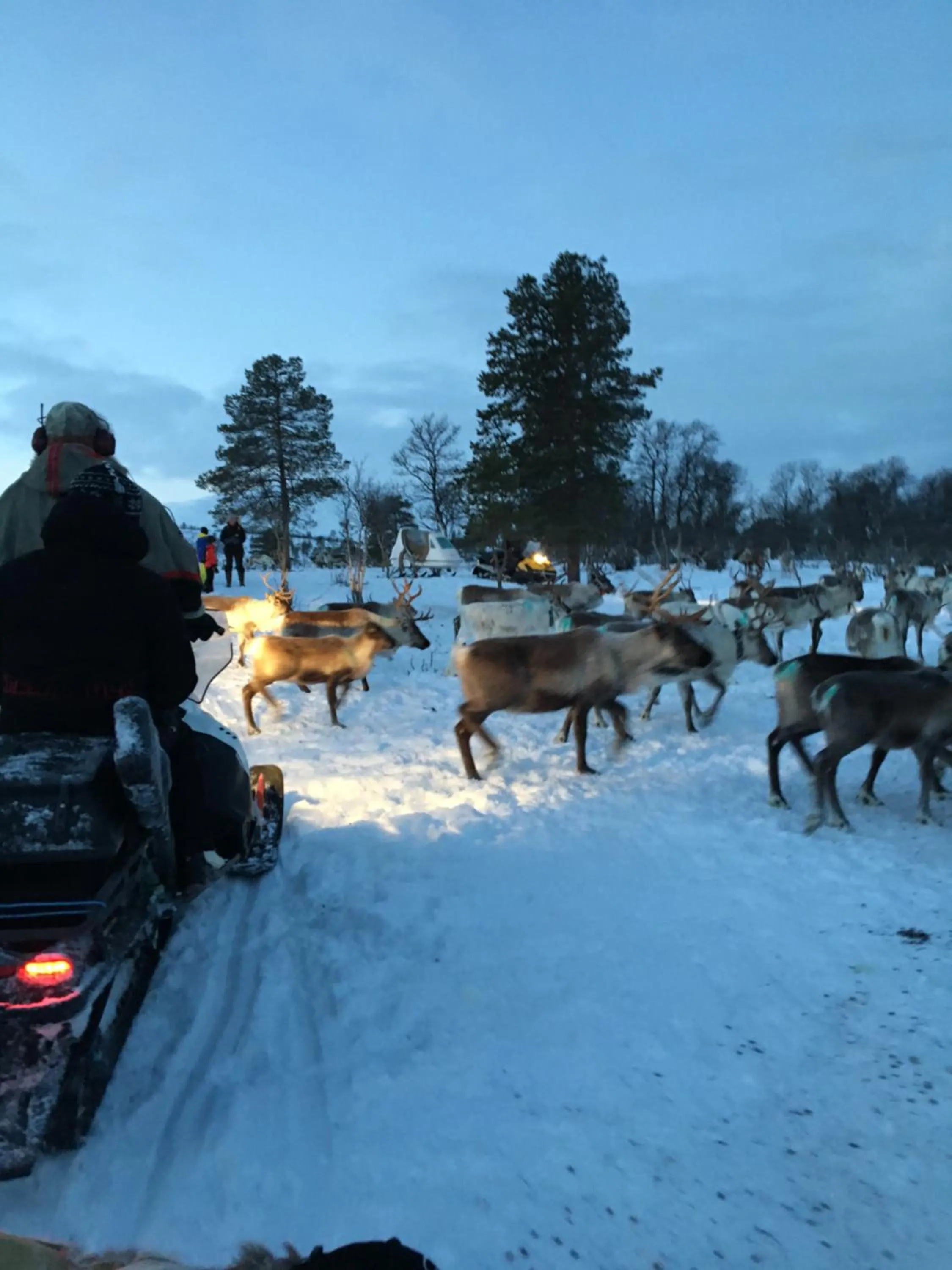 Neighbourhood in Bardufoss Hotell