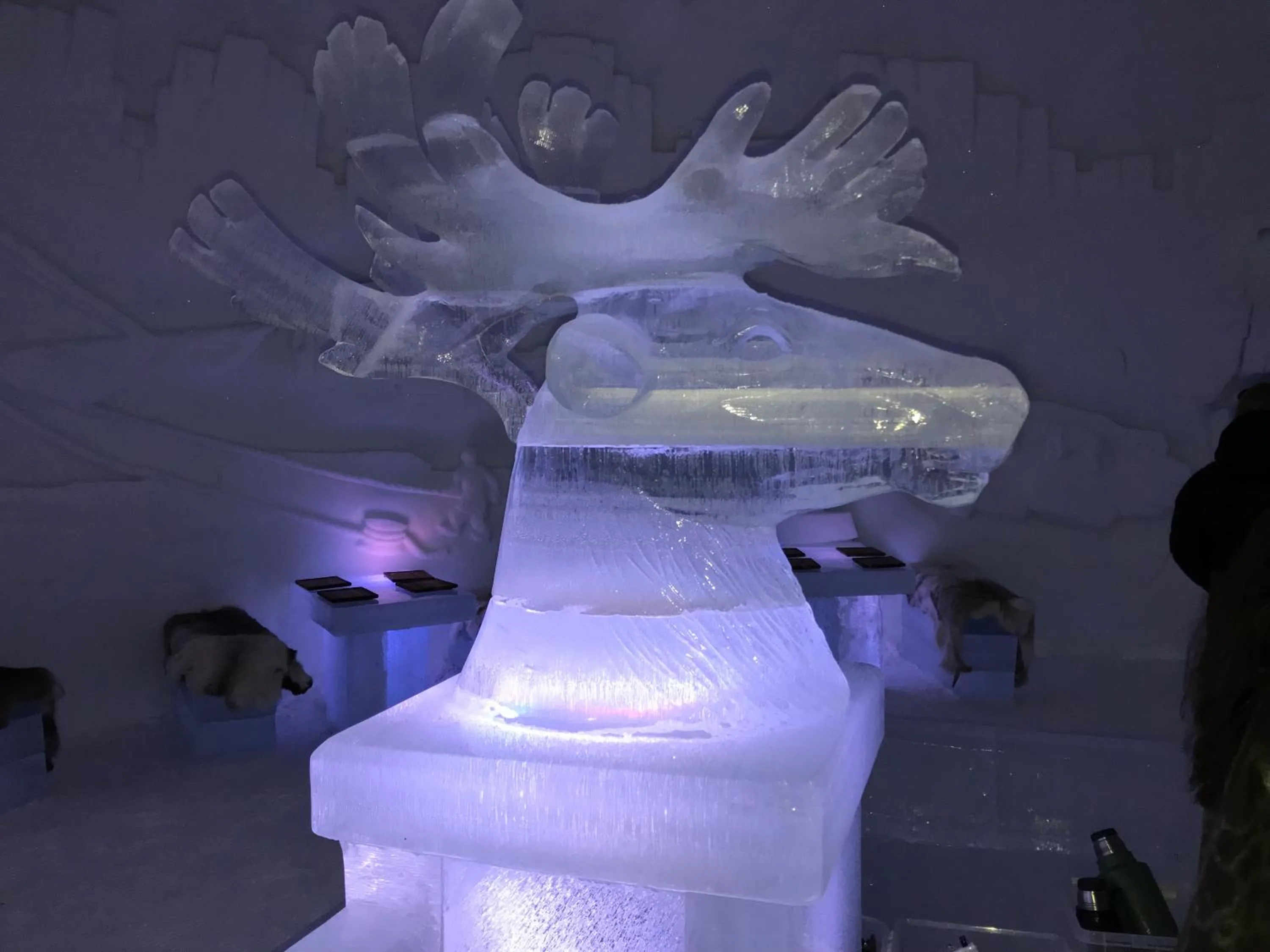 Nearby landmark in Bardufoss Hotell