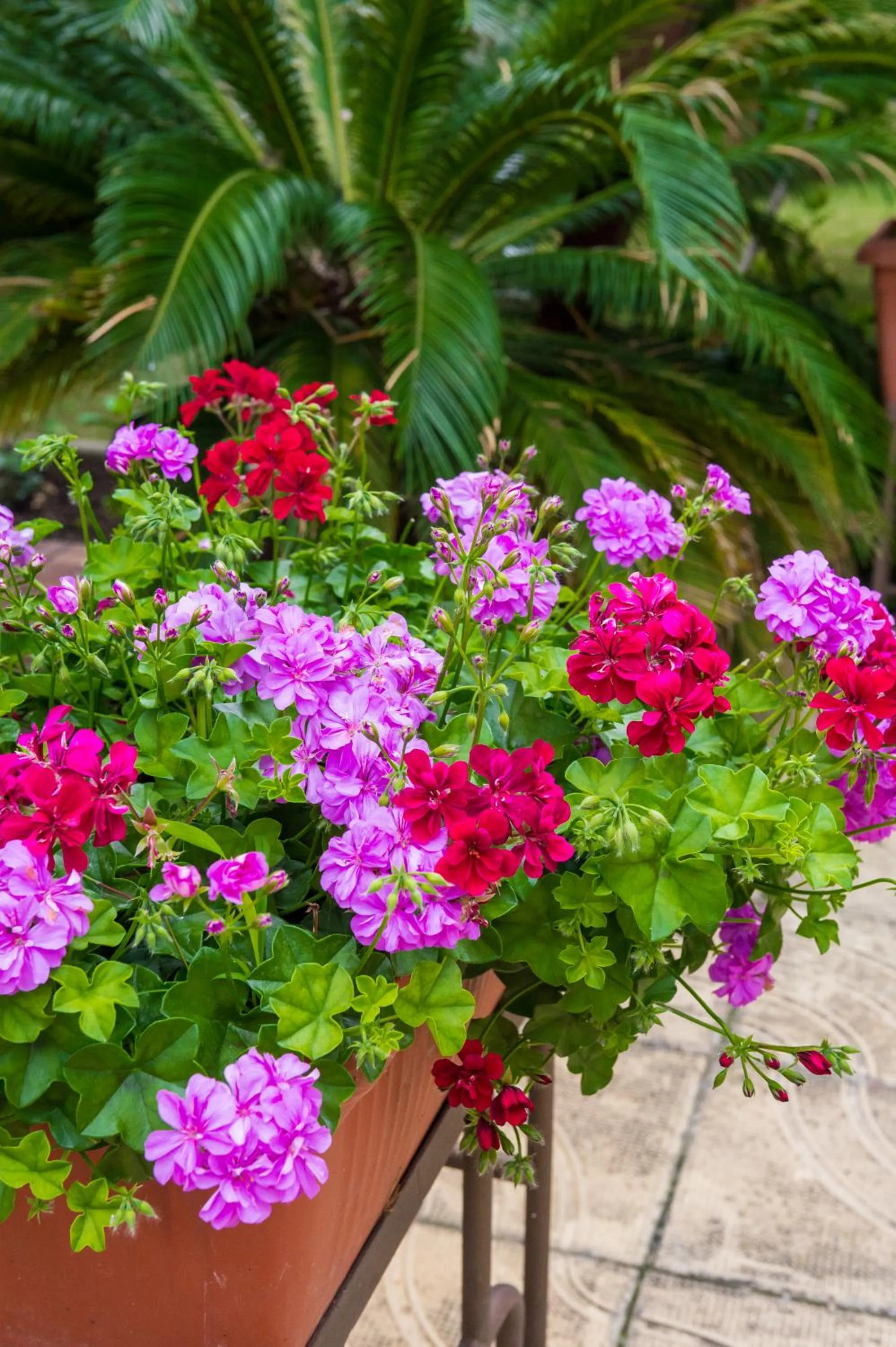 Decorative detail in Hotel Central