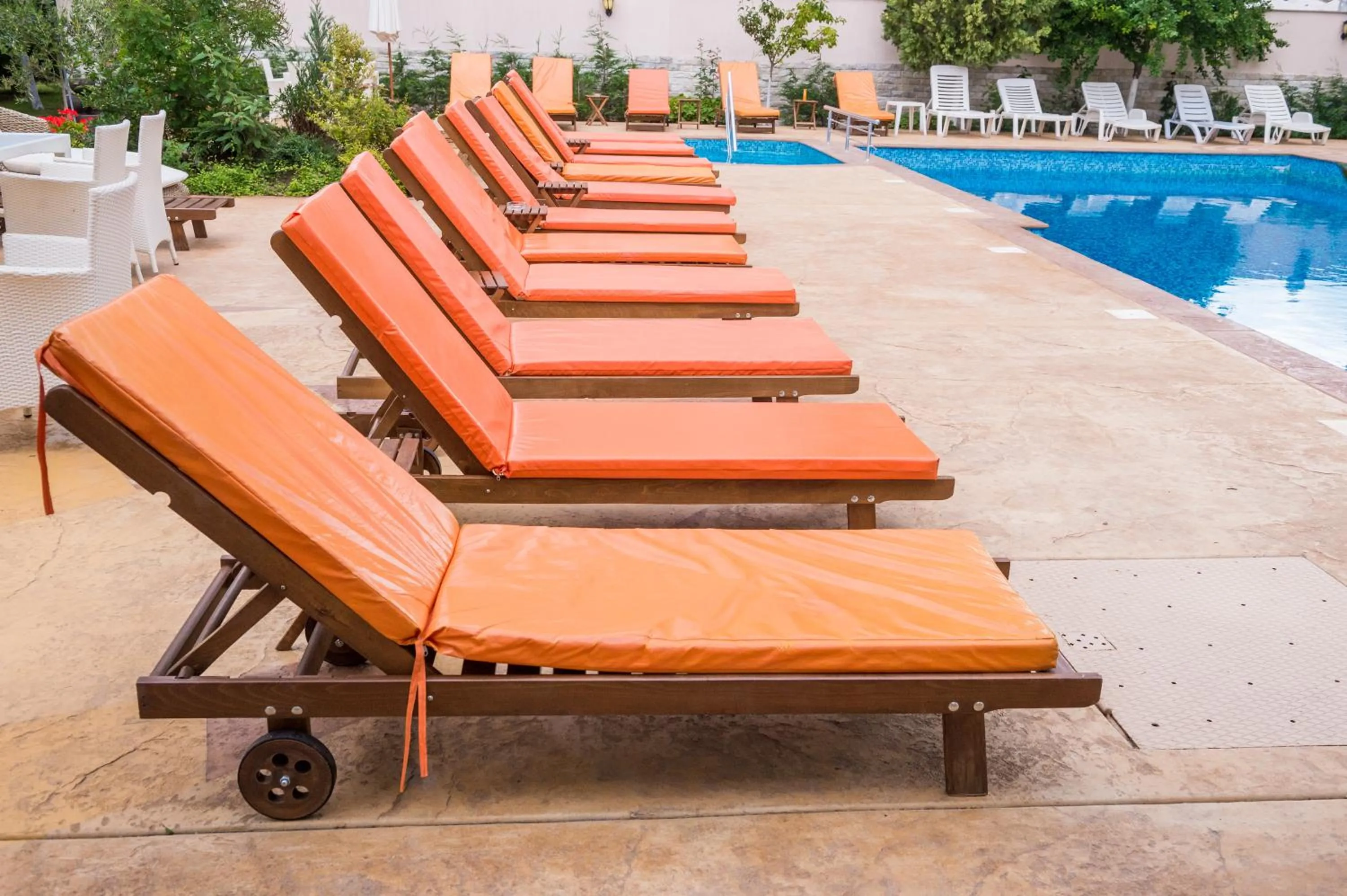 Garden in Hotel Central