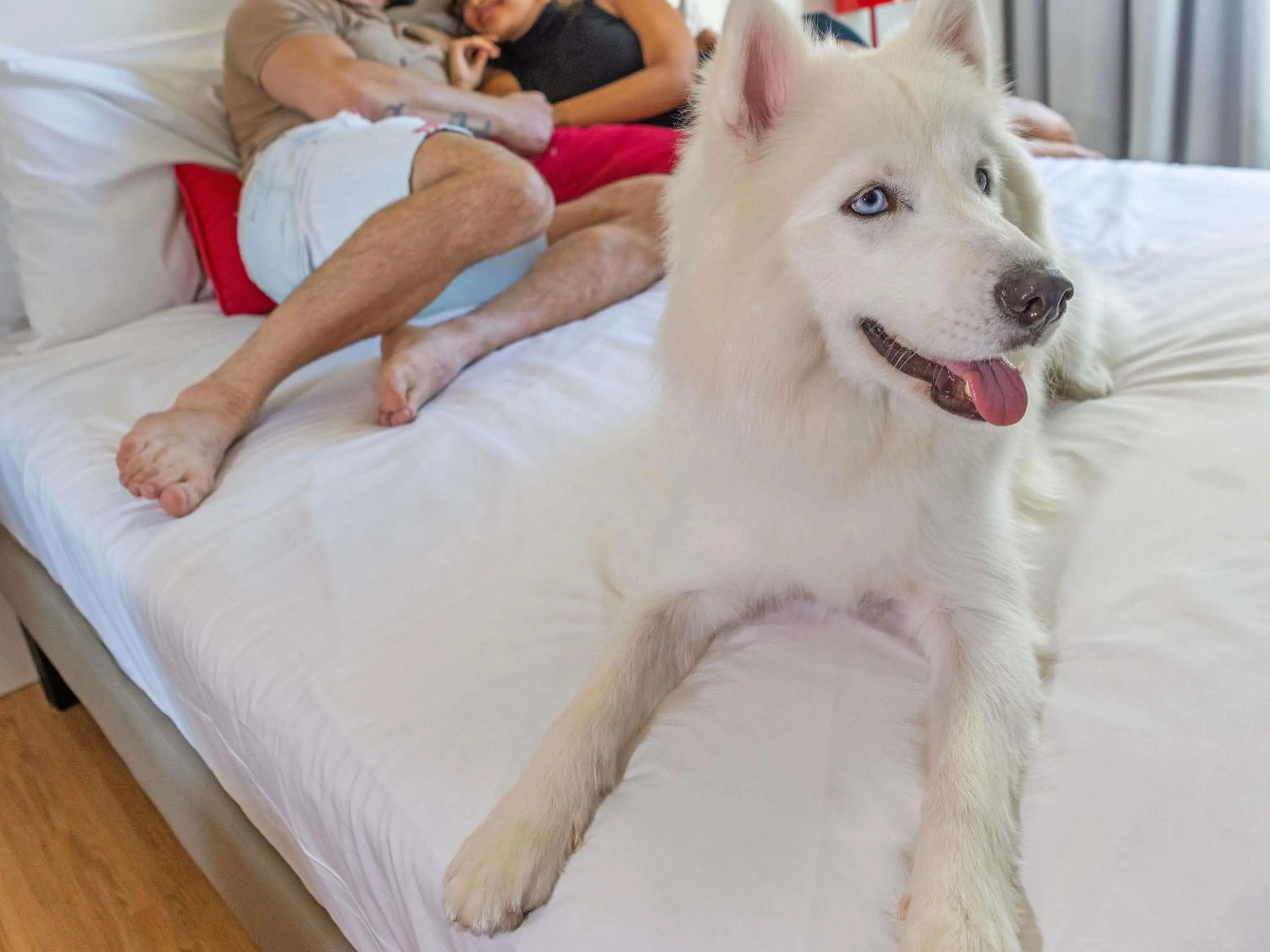 Bedroom in Mercure Jundiai Shopping