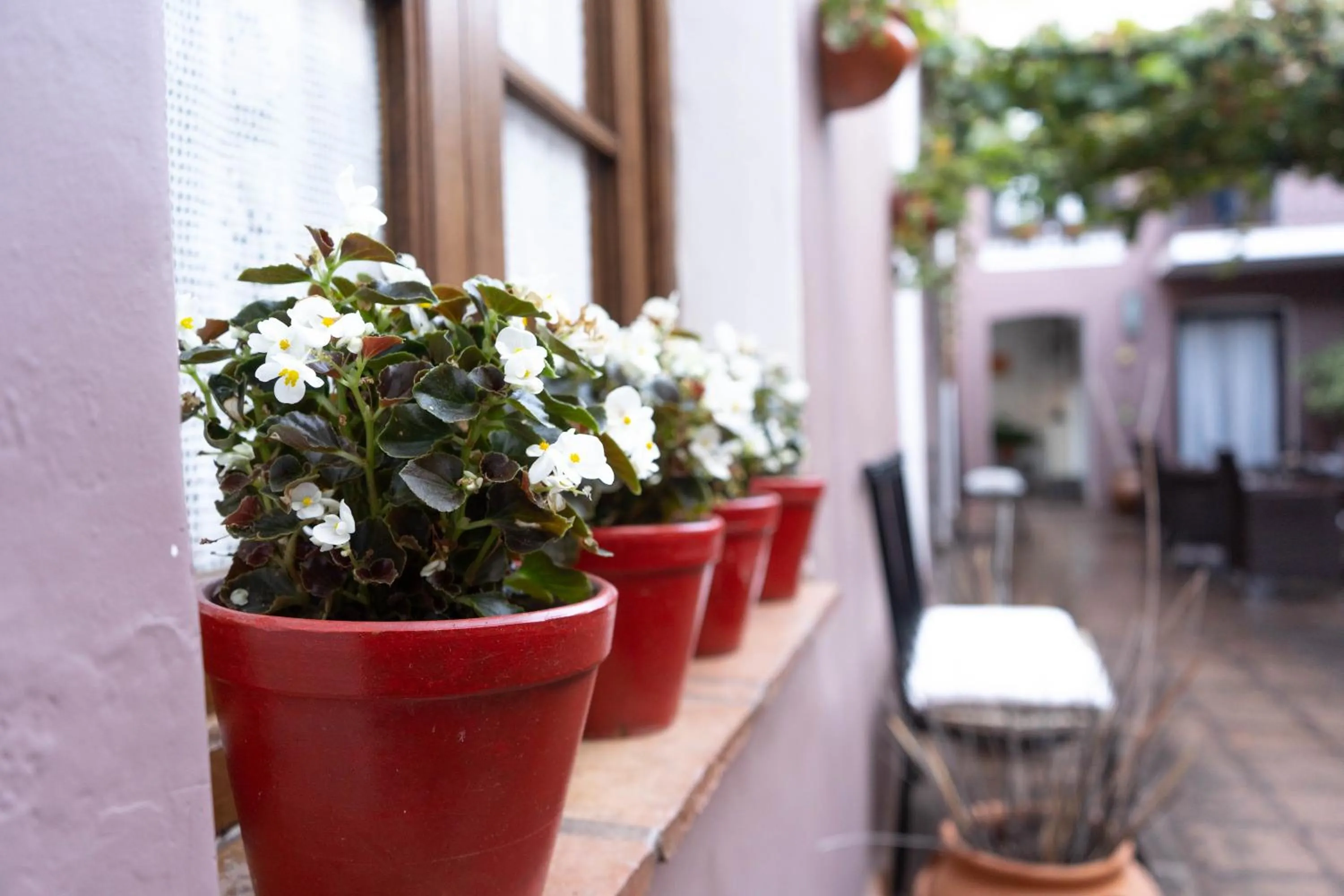 Hotel Plaza Cafayate