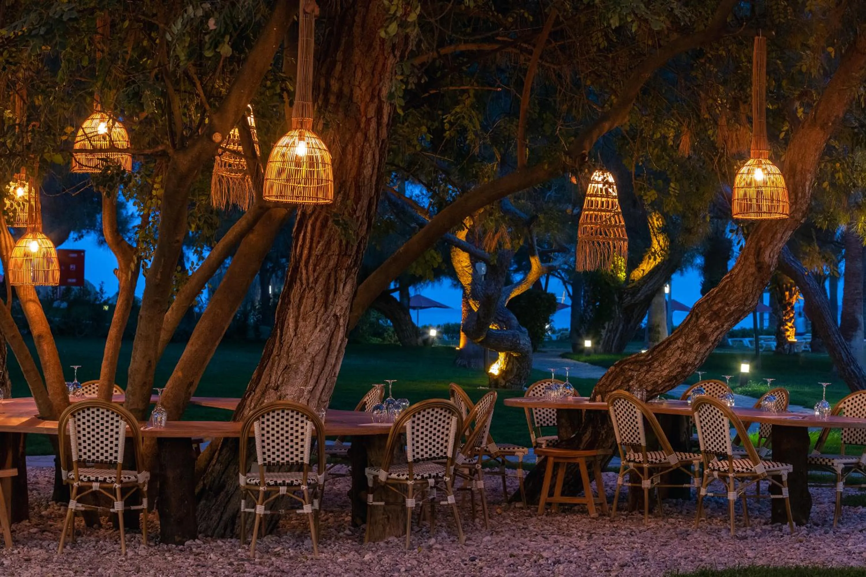 Restaurant/places to eat in Martı Myra - Ultra All Inclusive