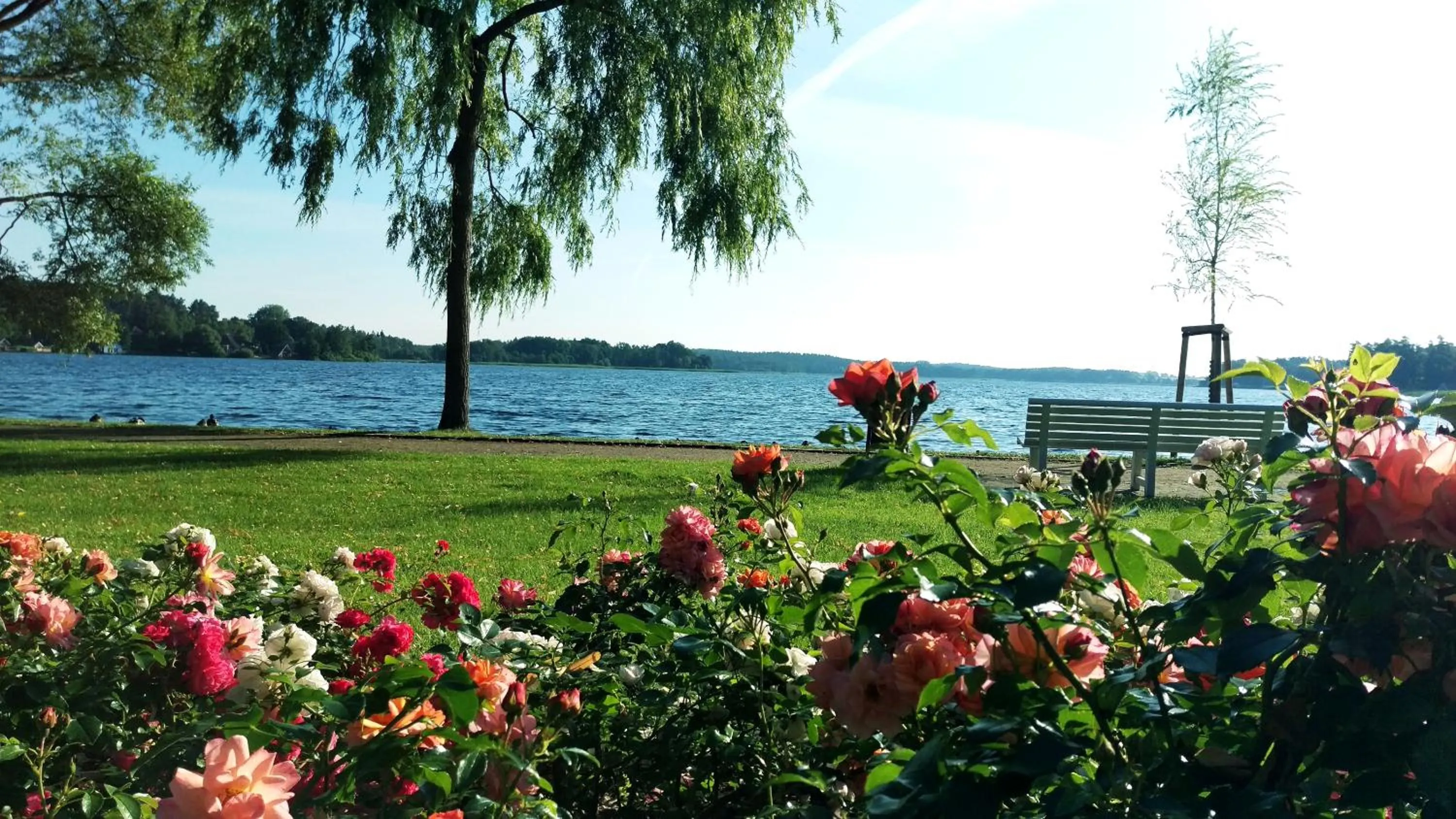 Neighbourhood in Nordischer Hof