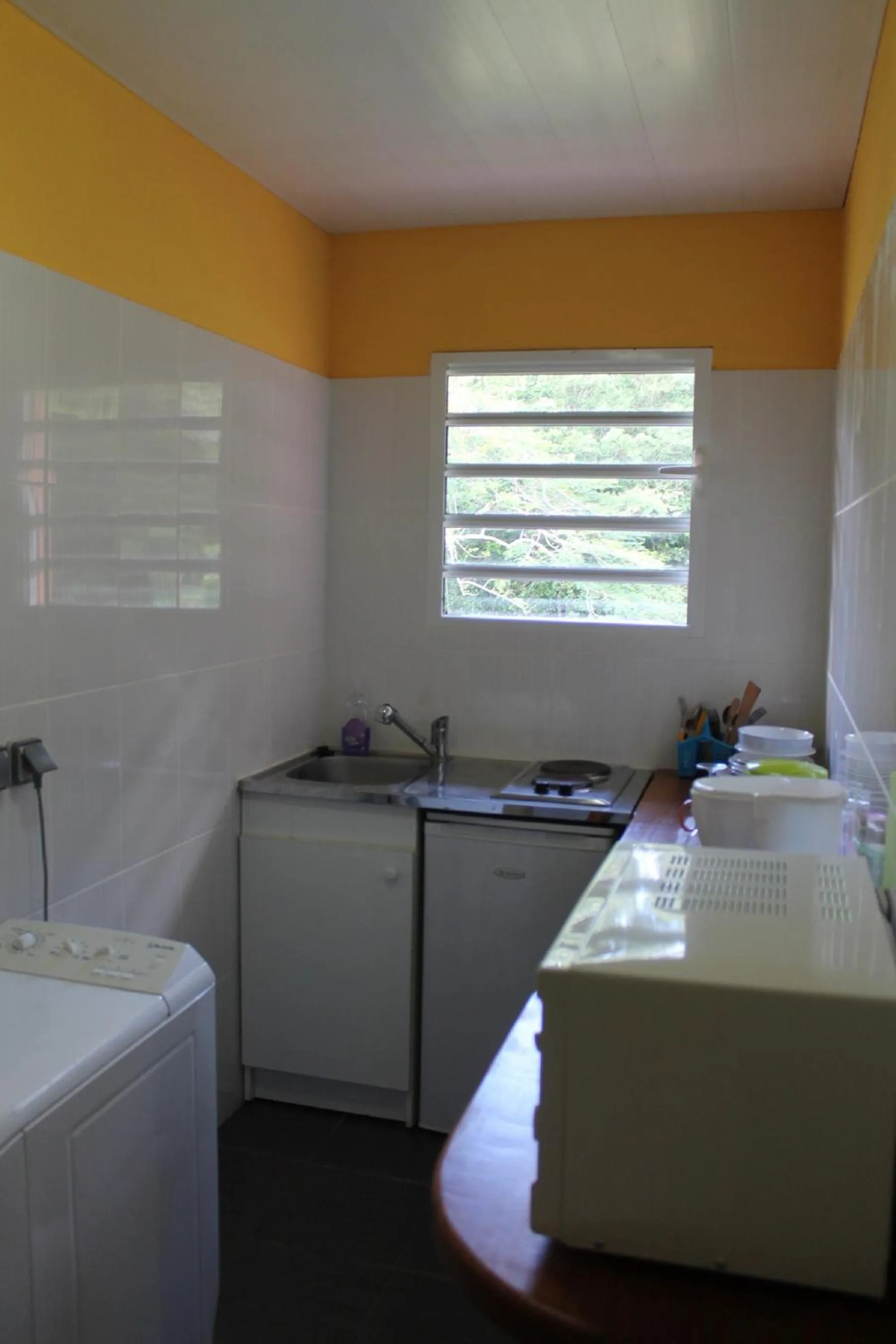 Garden in Hotel L'ebene Verte