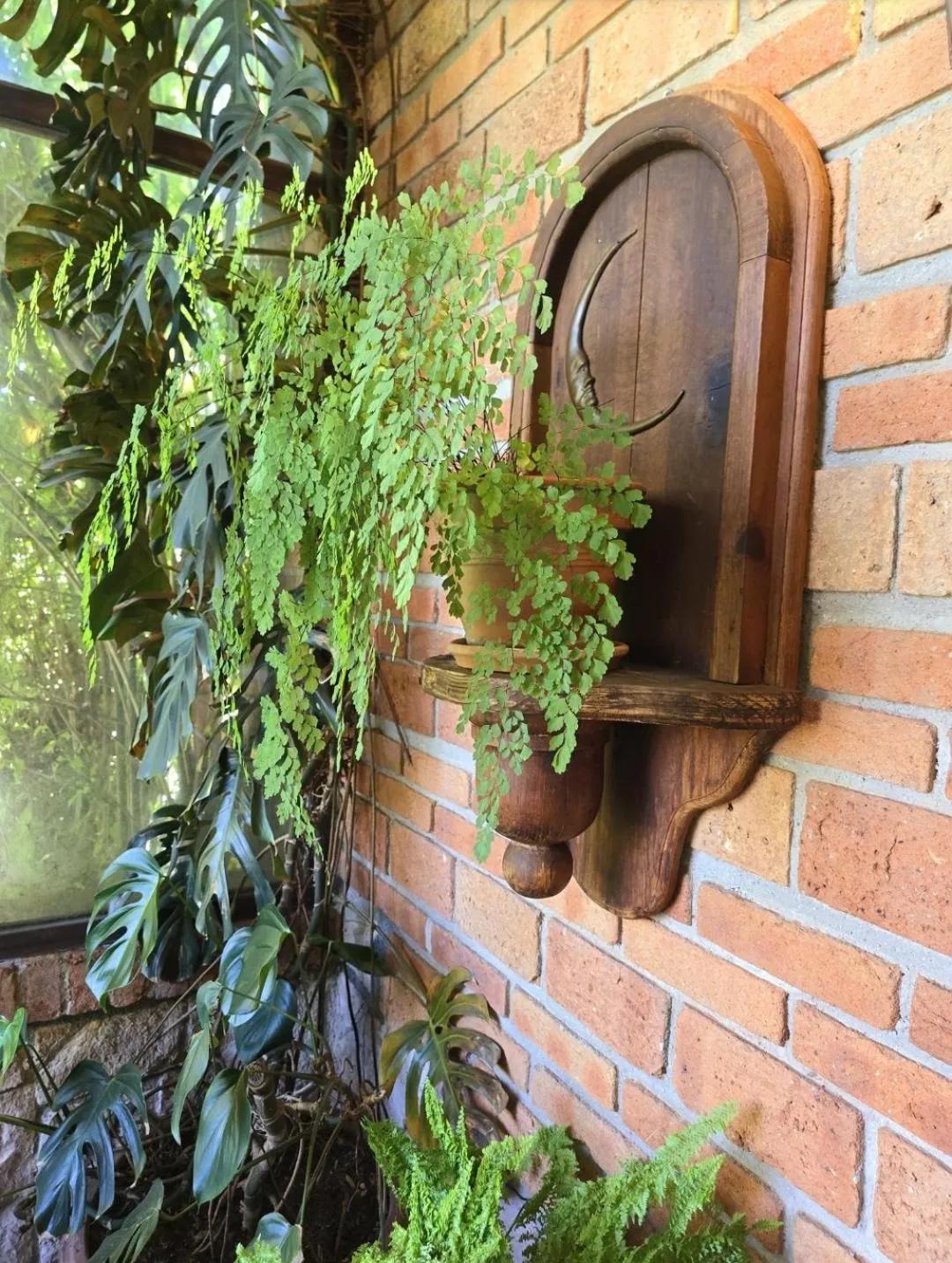 Garden view in Casa Aurea Hotel Boutique