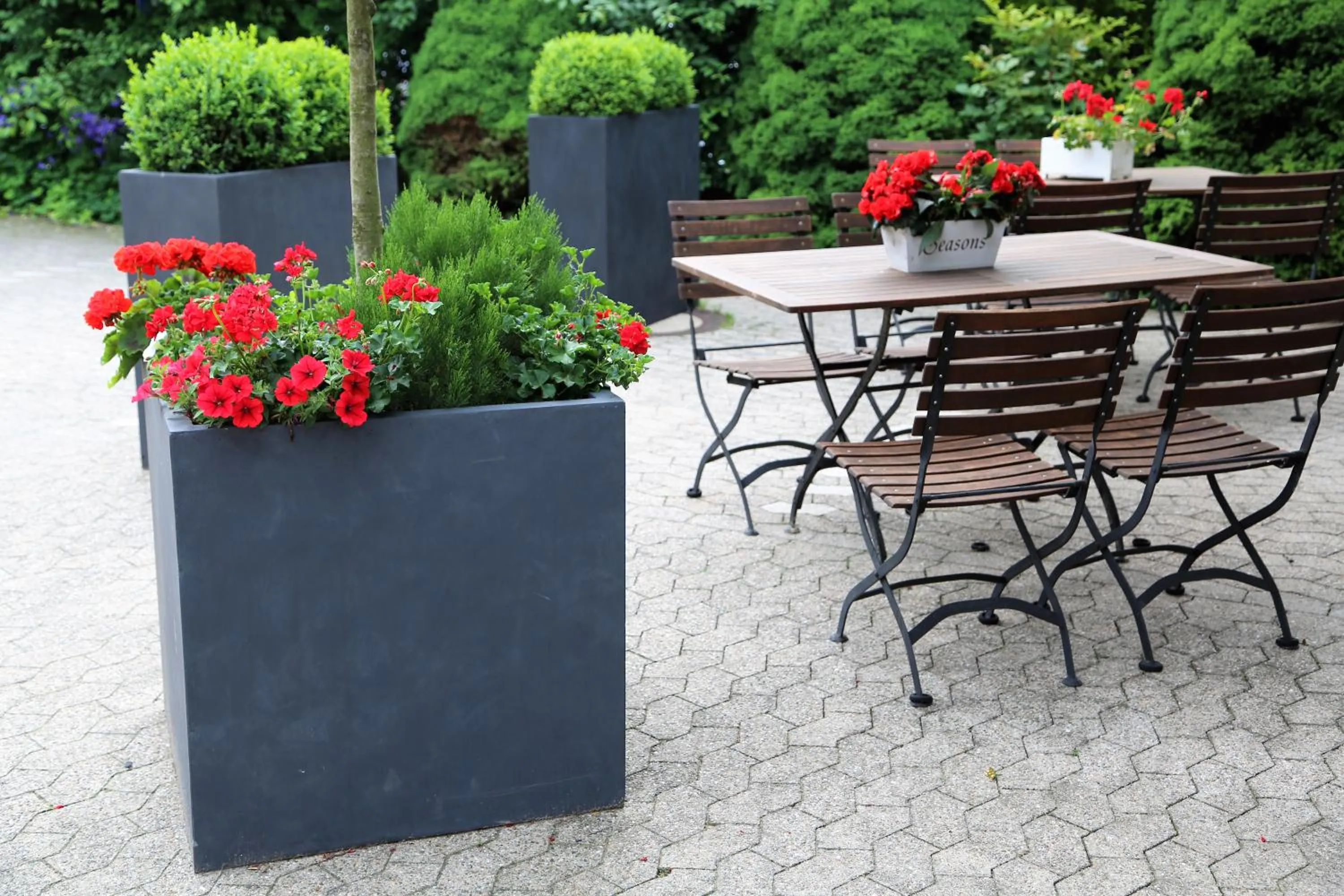 Balcony/Terrace in Hotel Gut Moschenhof