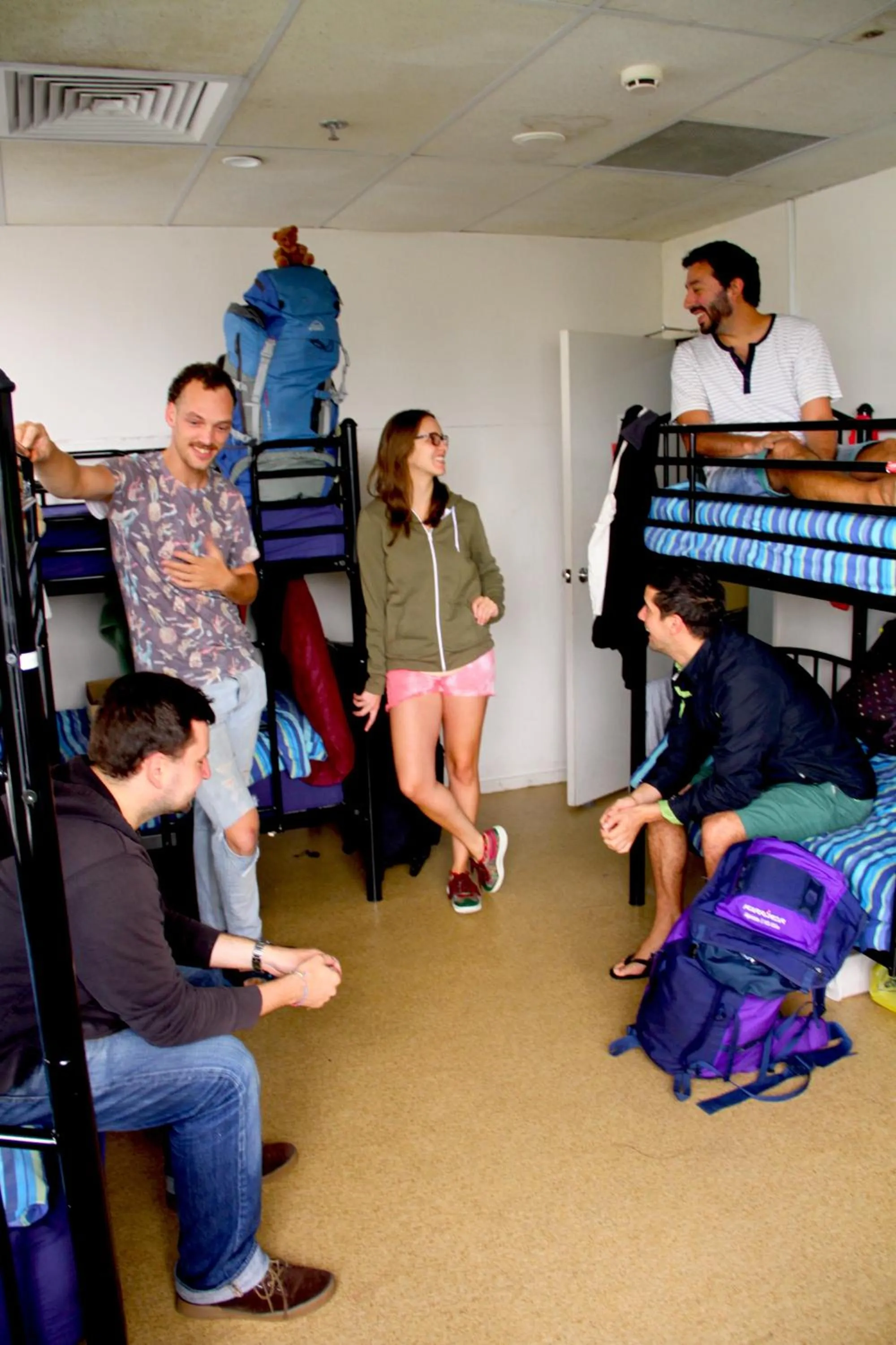bunk bed in Choice Backpackers