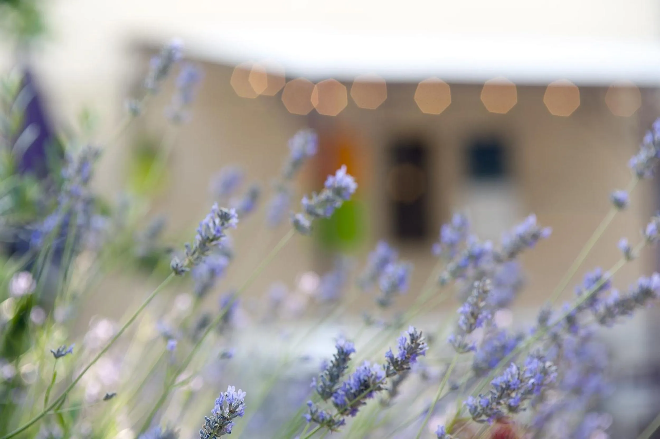 Other in Logis Hôtel Le Mistral - Restaurant - Montélimar Sud