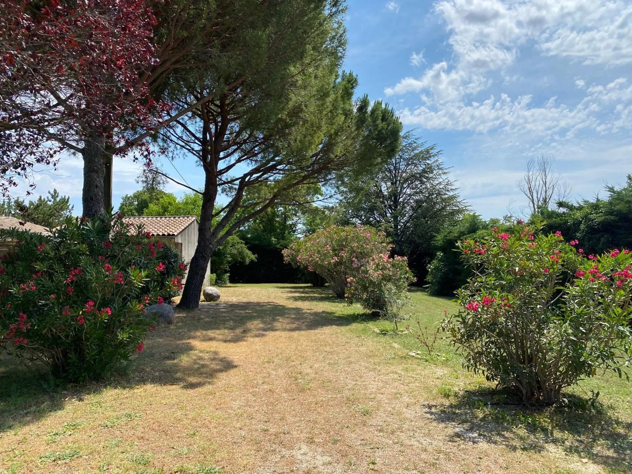 Garden in Logis Hôtel Le Mistral - Restaurant - Montélimar Sud