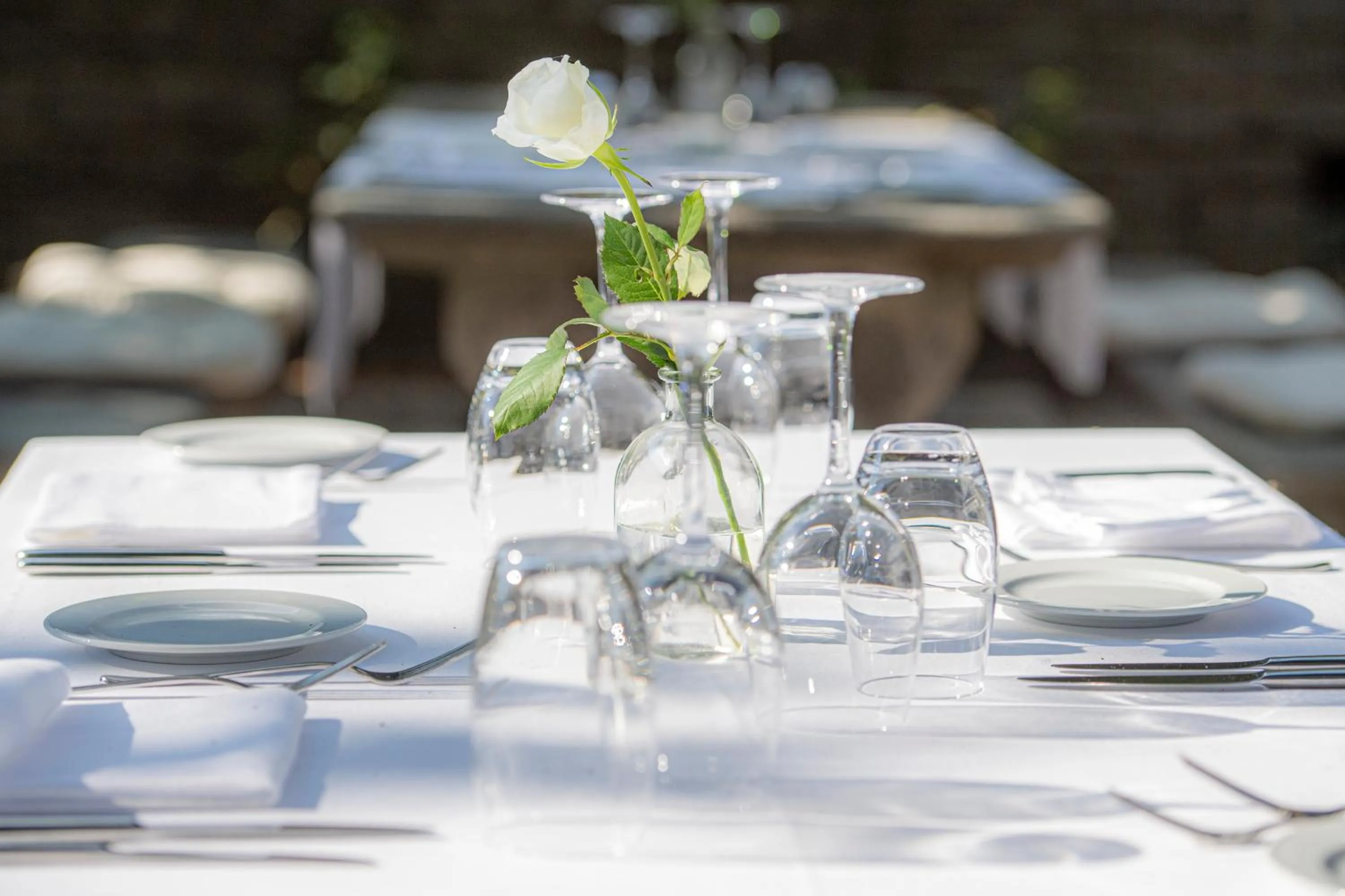 Restaurant/places to eat in Hotel Cereda