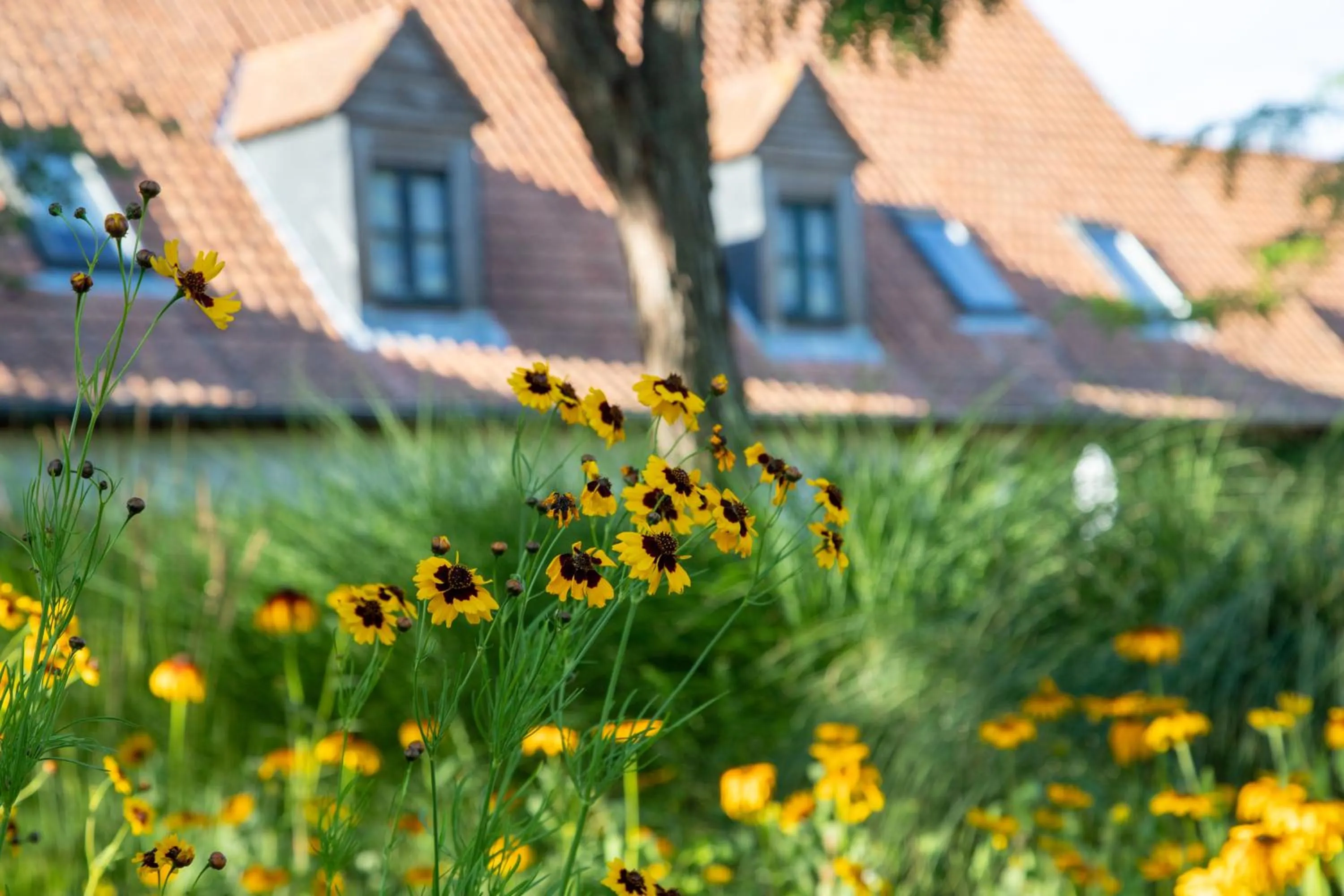 Garden in Le Cap Hornu