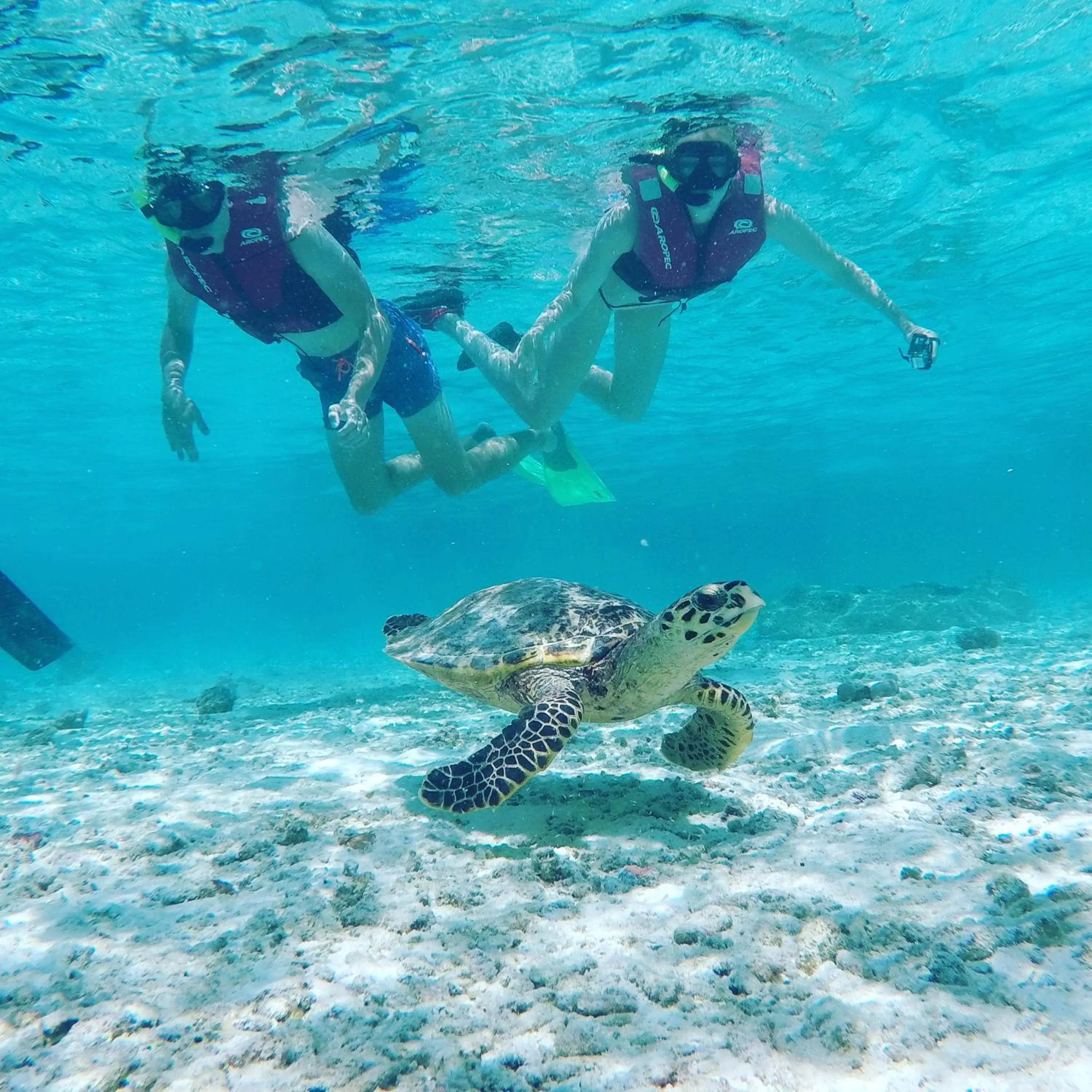 Sports in Salt Beach Hotel