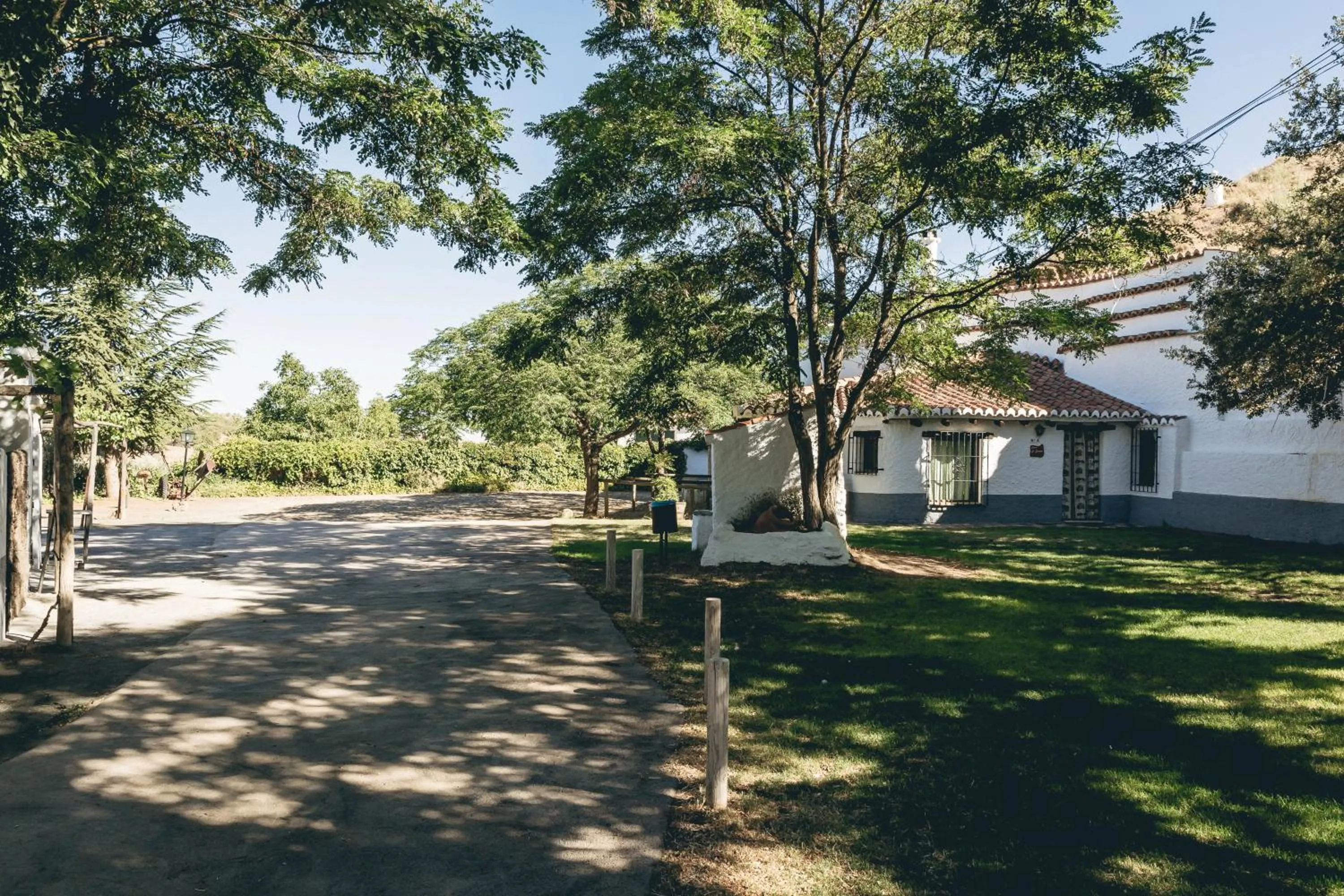 Garden in Casas Cueva Tio Tobas Guadix