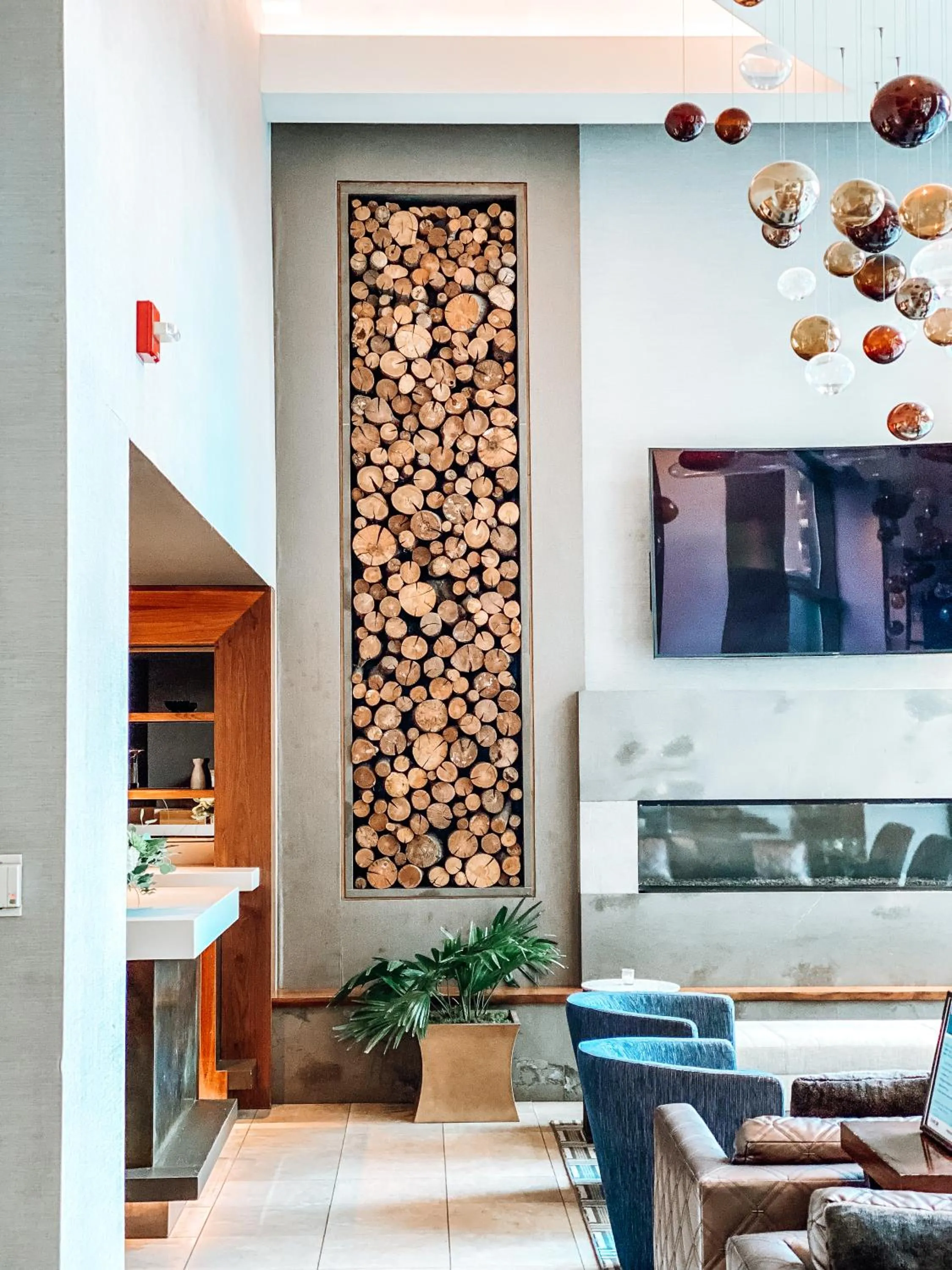 Lobby or reception in Hotel Felix