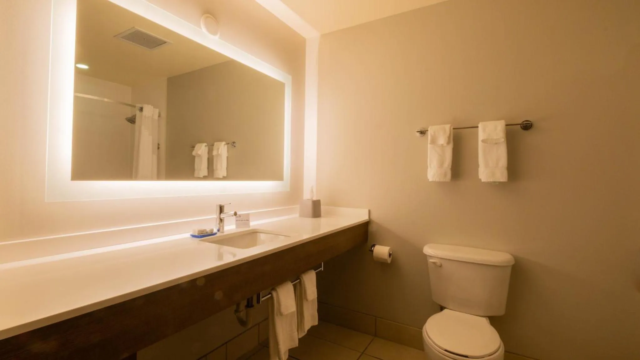 Bathroom in Holiday Inn Express Hotel & Suites Mankato East by IHG