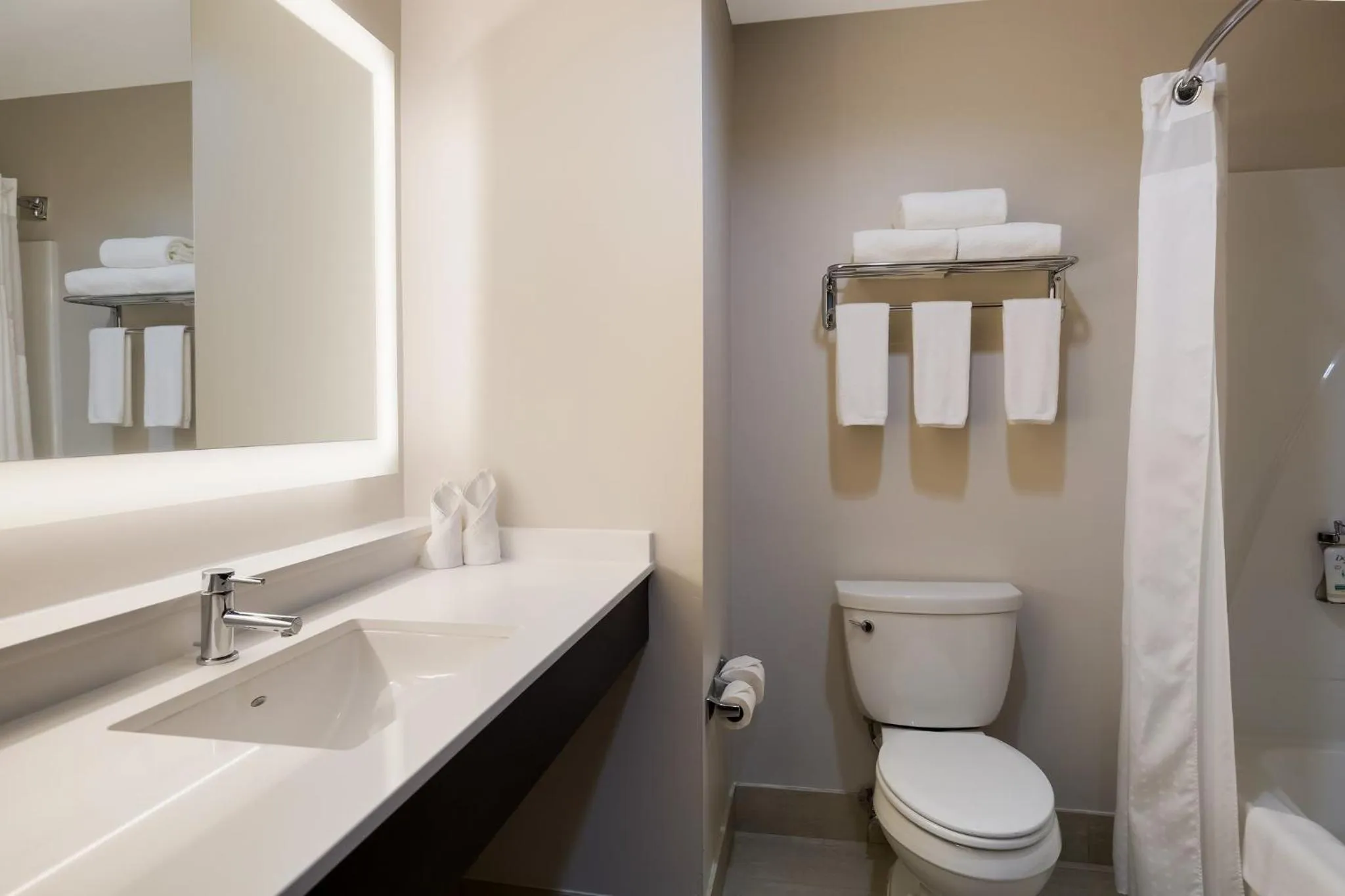 Bathroom in Holiday Inn Express Hotel & Suites Newton Sparta by IHG
