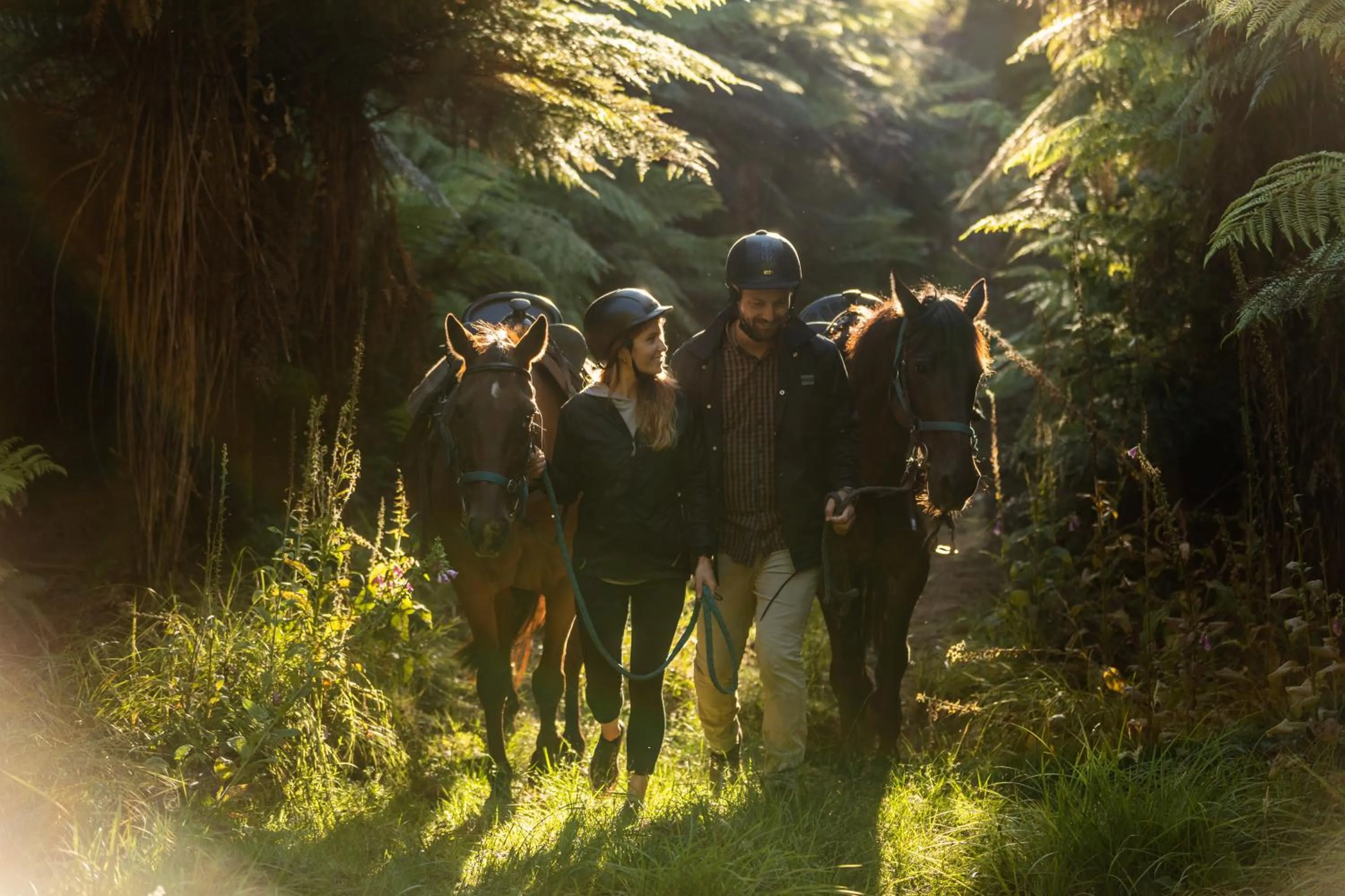 Horse-riding in Treetops Lodge & Estate