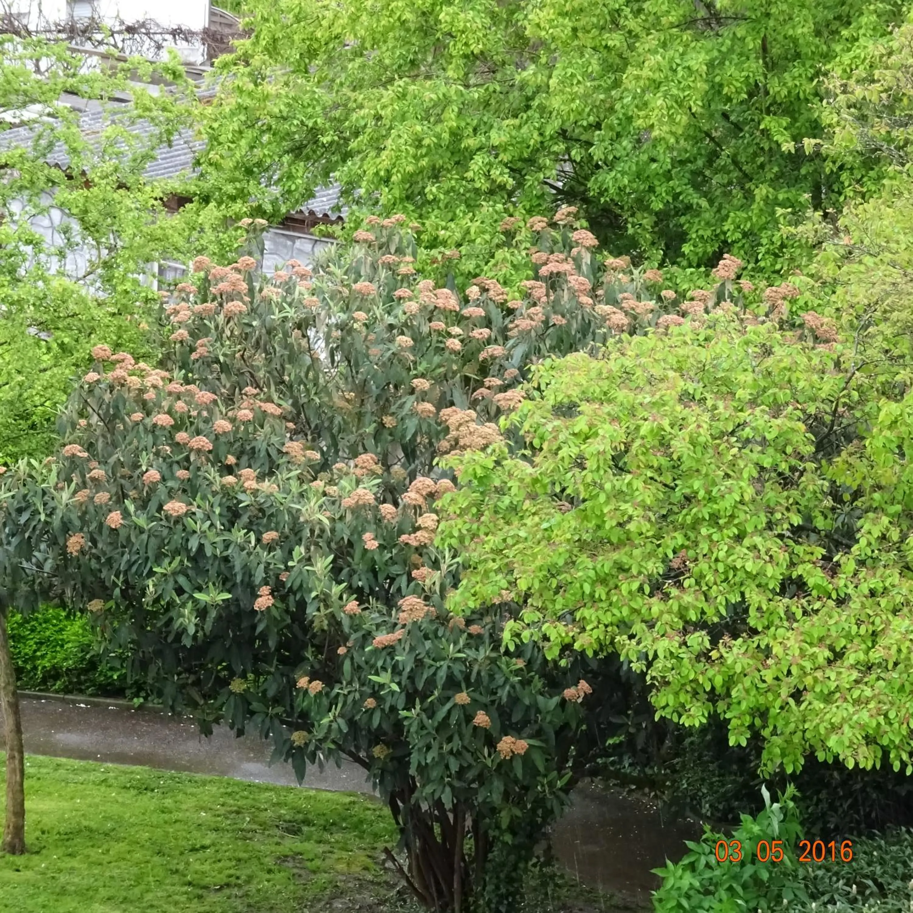 Neighbourhood in Hotel Einstein