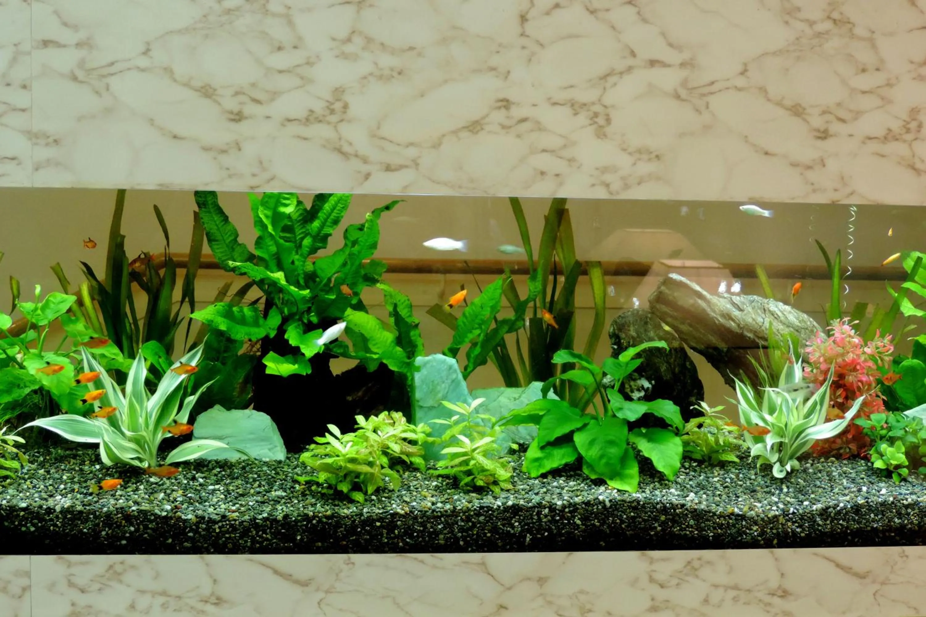 Spa and wellness centre/facilities in Hotel New Otani Osaka