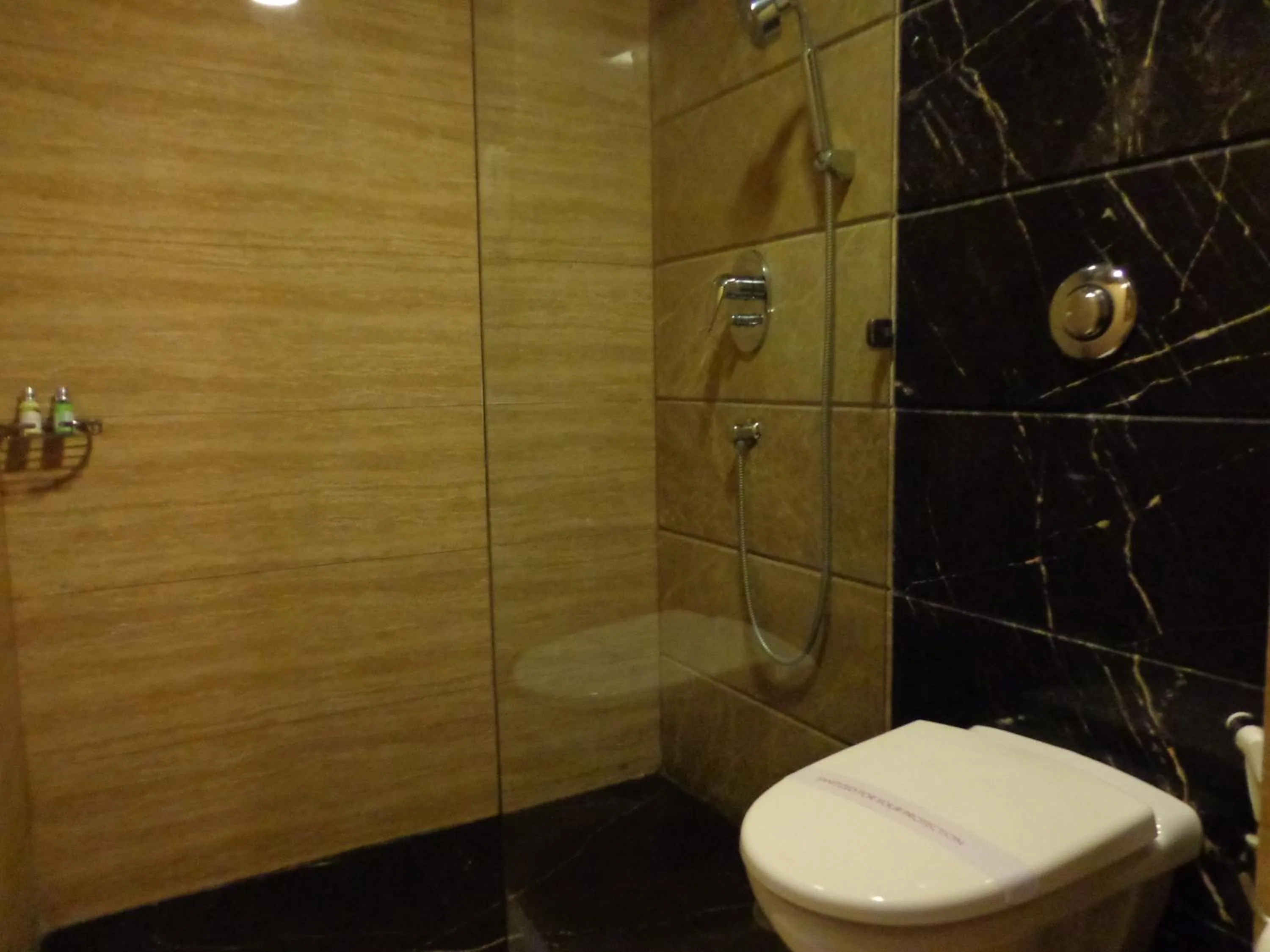 Bathroom in Hotel Aura Near Connaught Place