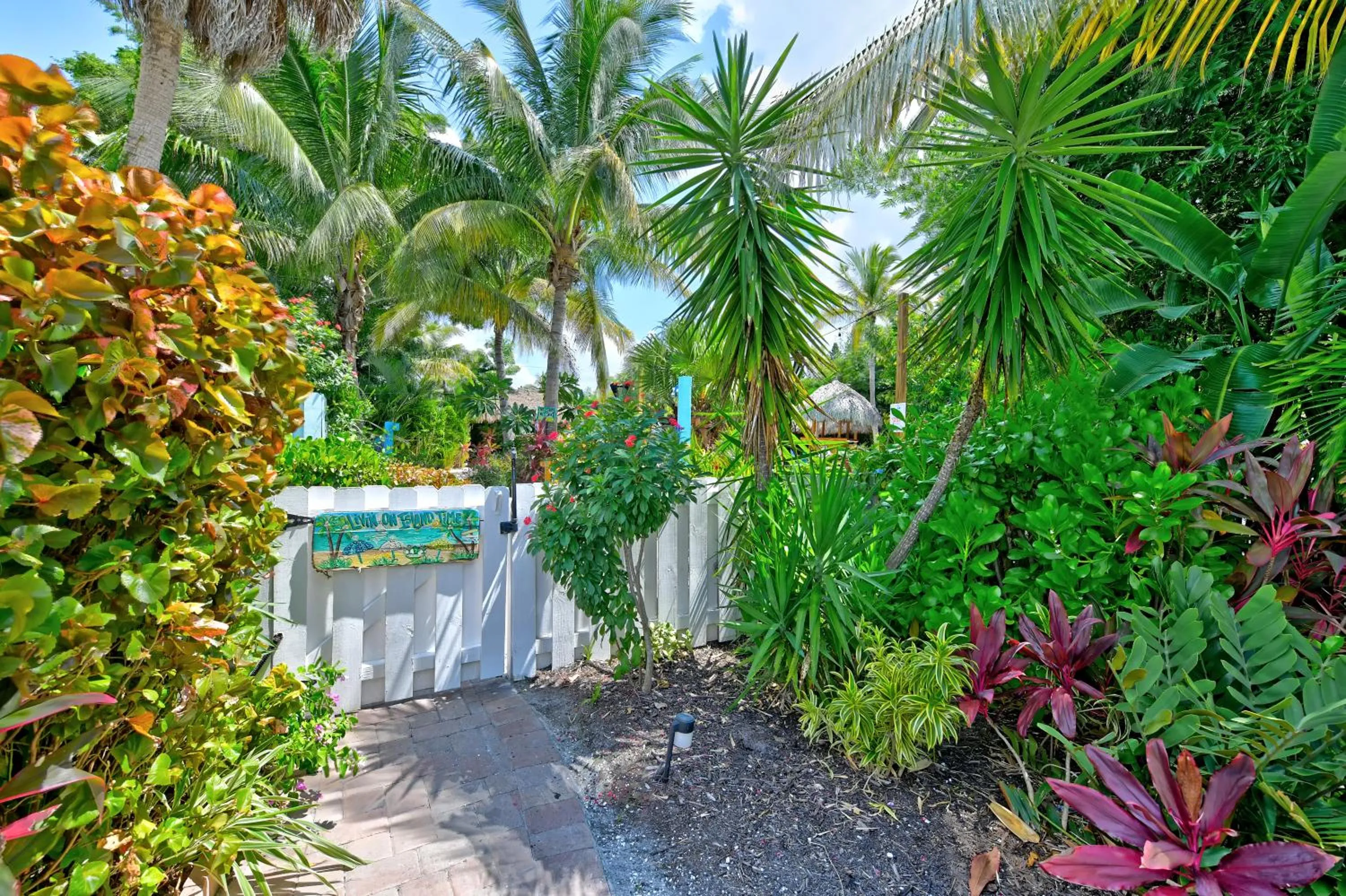 Natural landscape in Siesta Key Palms Resort