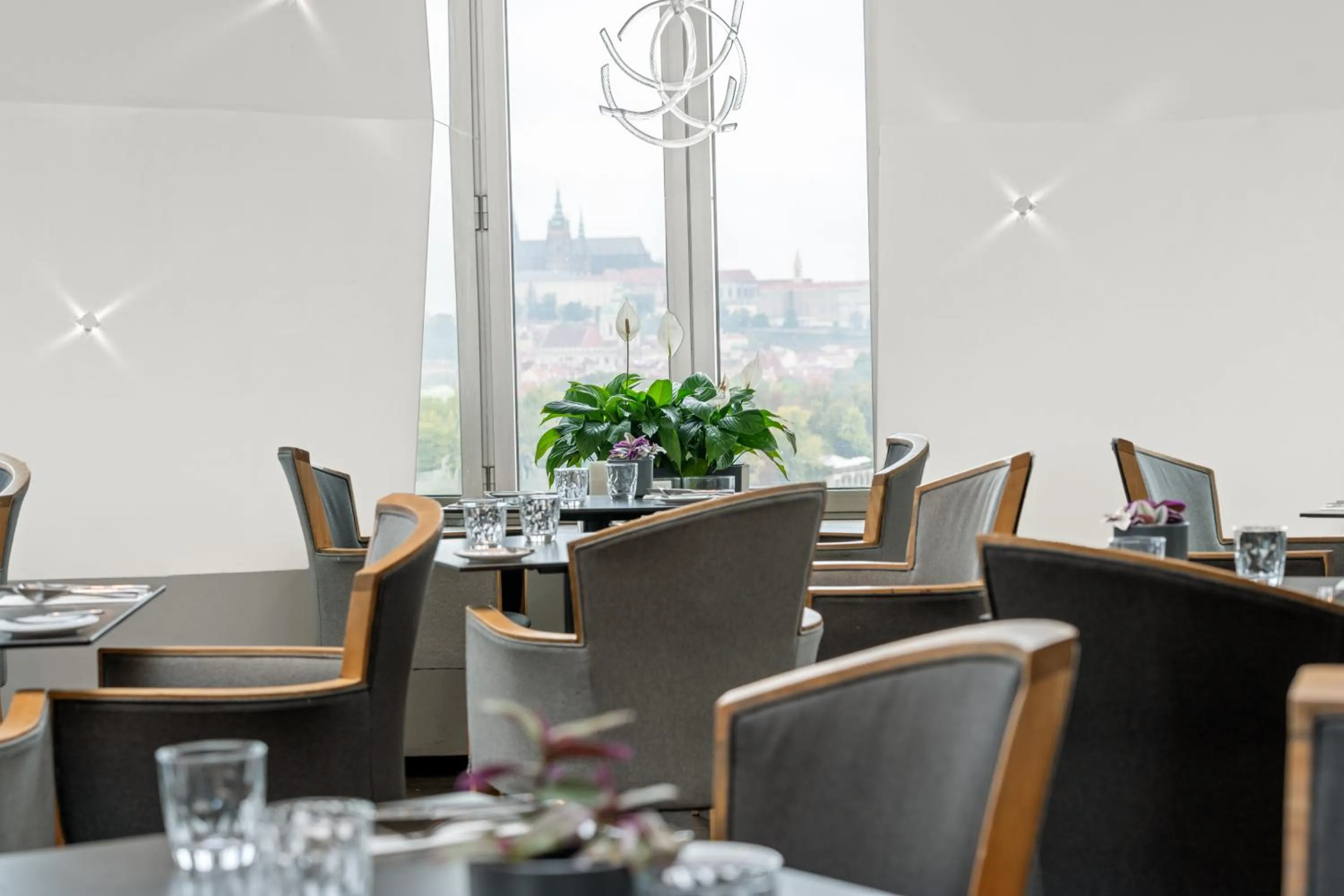 Restaurant/places to eat in Dancing House - Tančící dům hotel