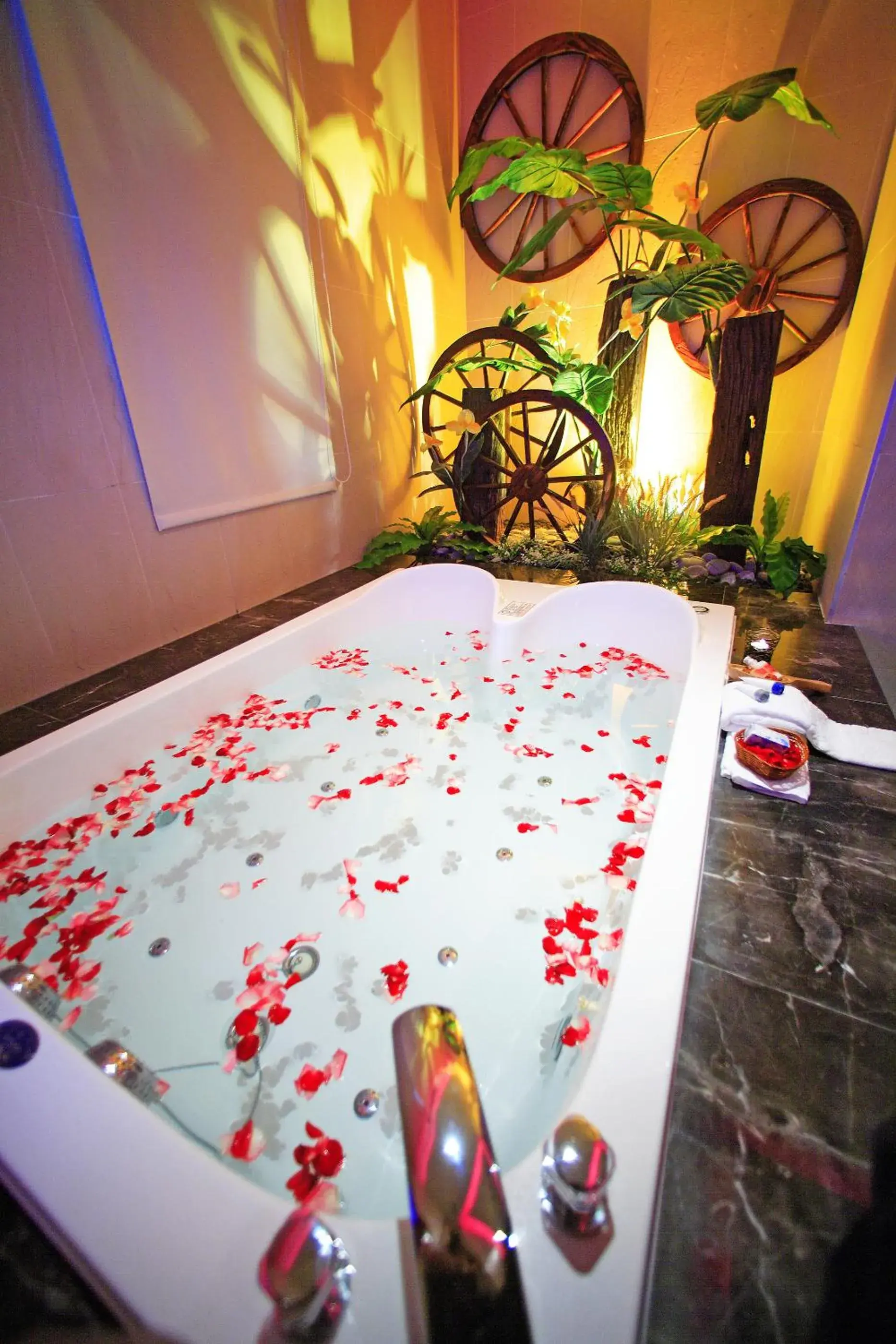 Premier Suite in Blue Coast Spa Motel Premier Suite in Blue Coast Spa Motel