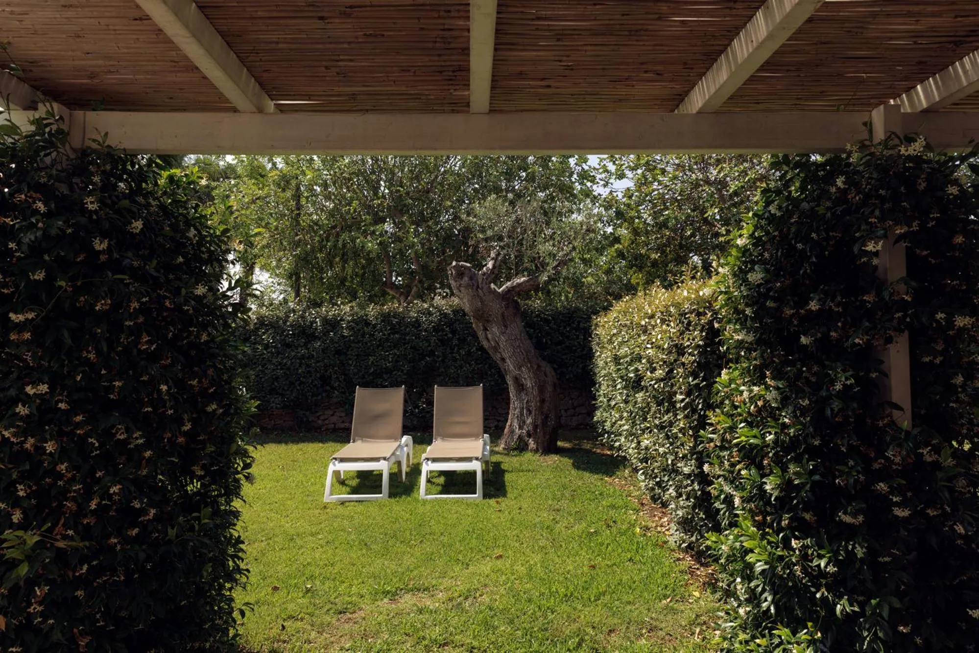 Garden in Borgo de li Santi