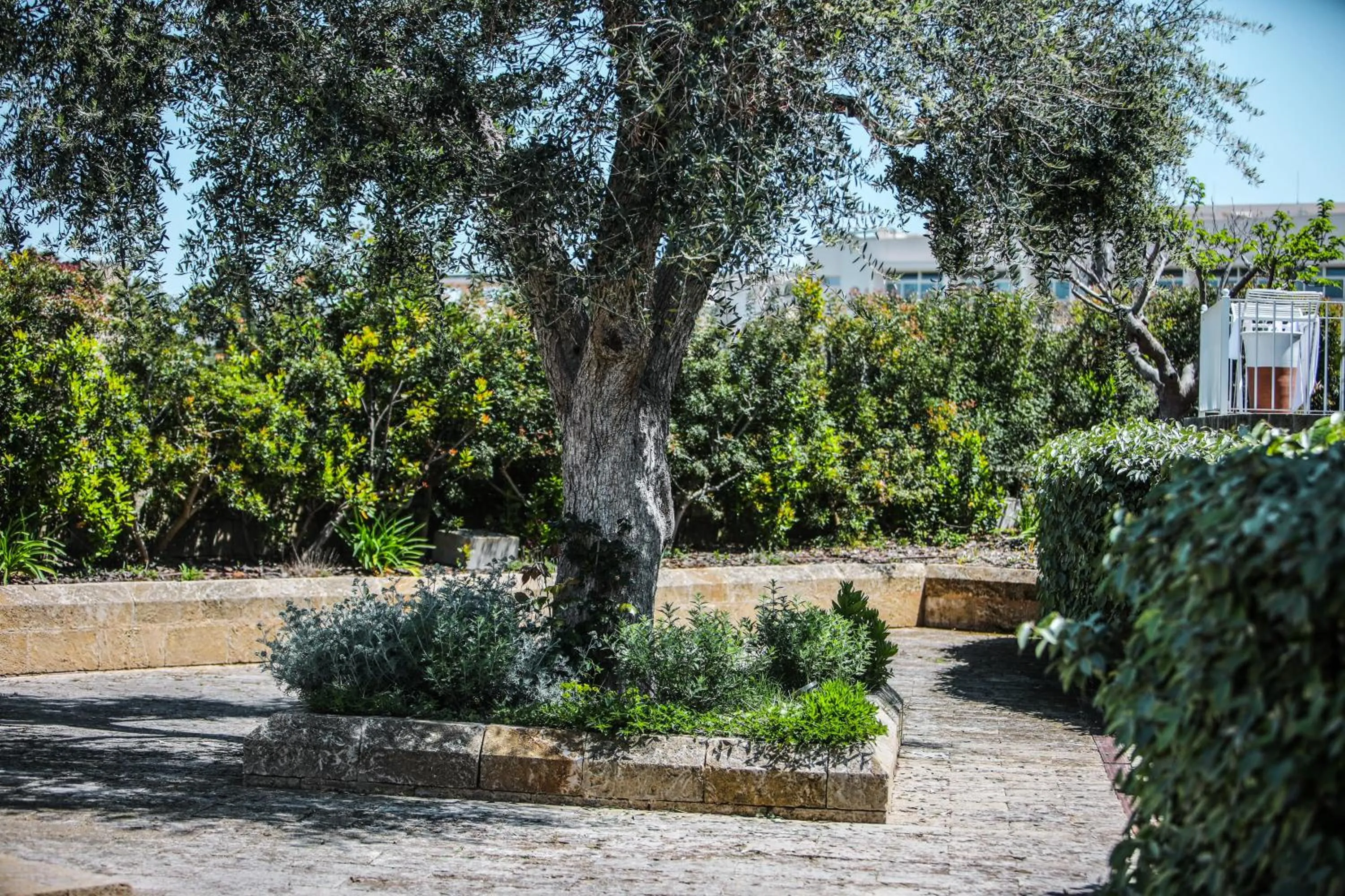 Property building in Borgo de li Santi