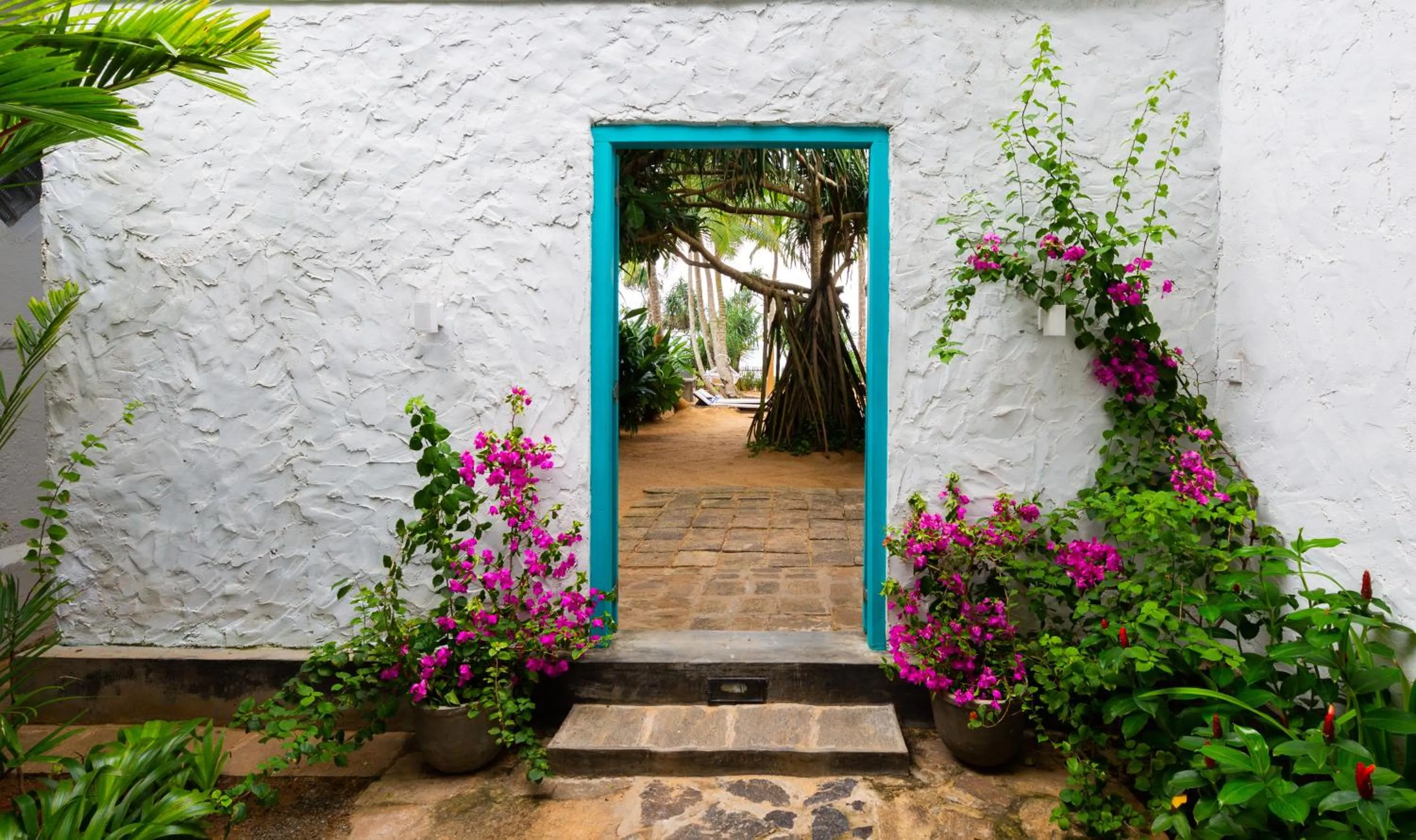 Facade/entrance in Taru Villas 906 - Hikkaduwa