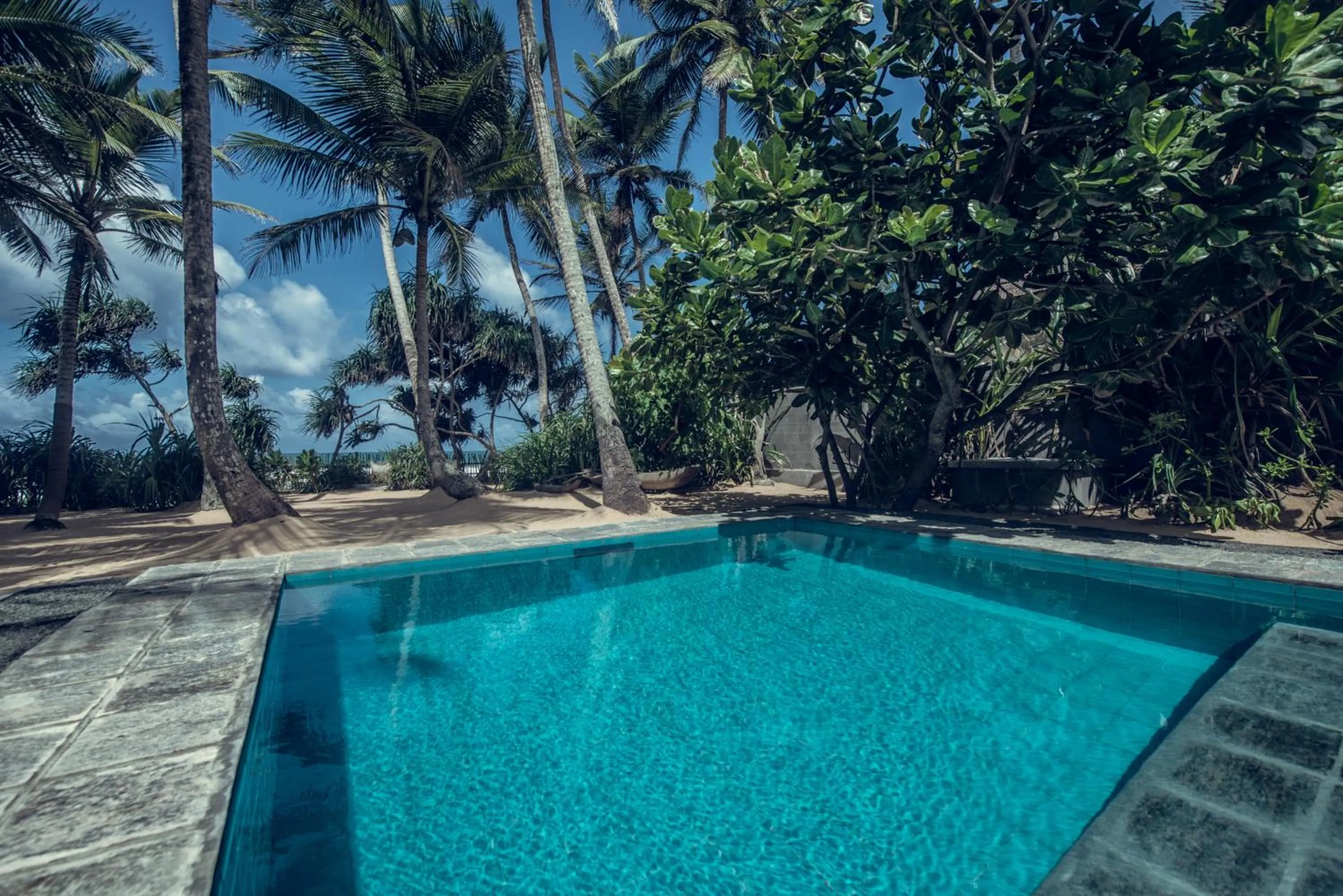 Natural landscape in Taru Villas 906 - Hikkaduwa