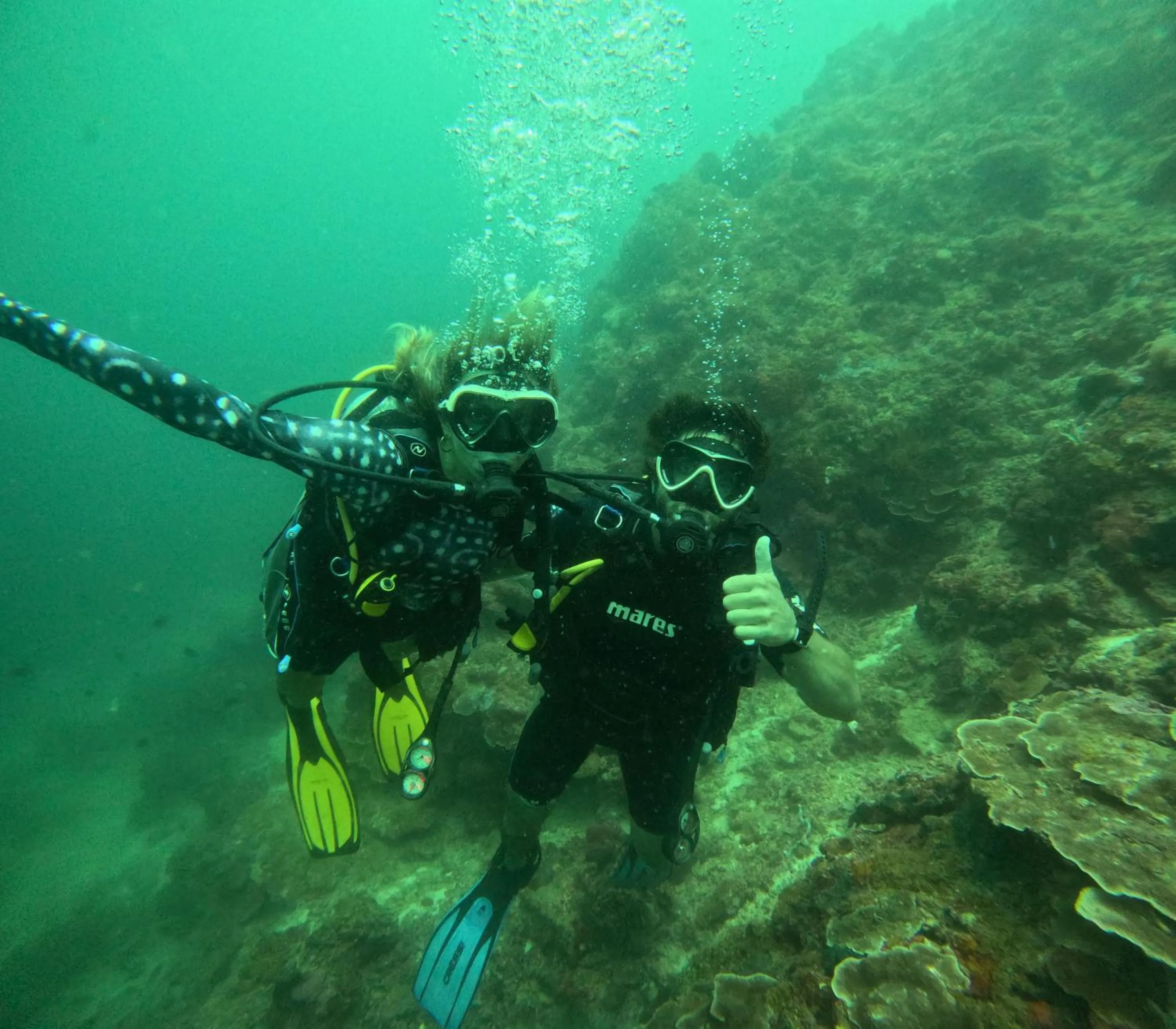 Cauayan Boutique Private Island - formerly Cauayan Island Resort