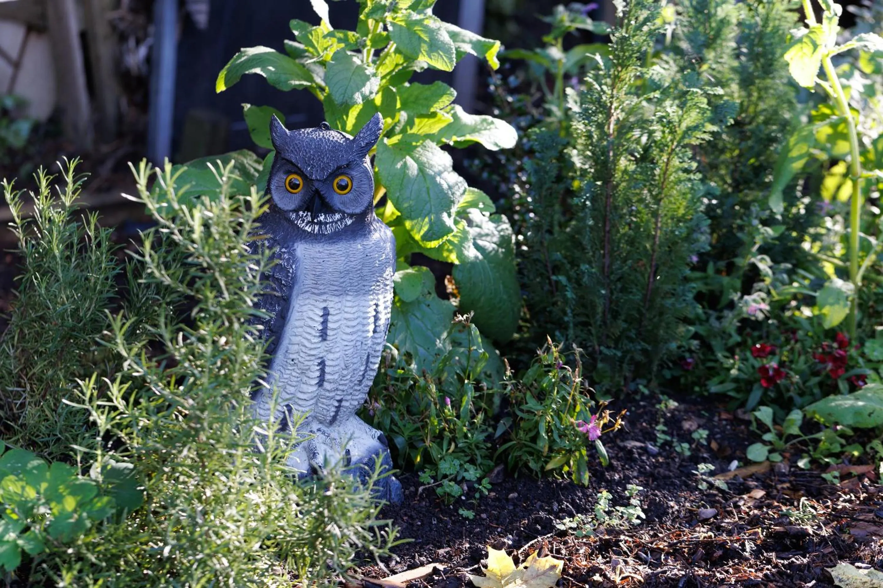 Garden in Thornbury Castle - A Relais & Chateaux Hotel