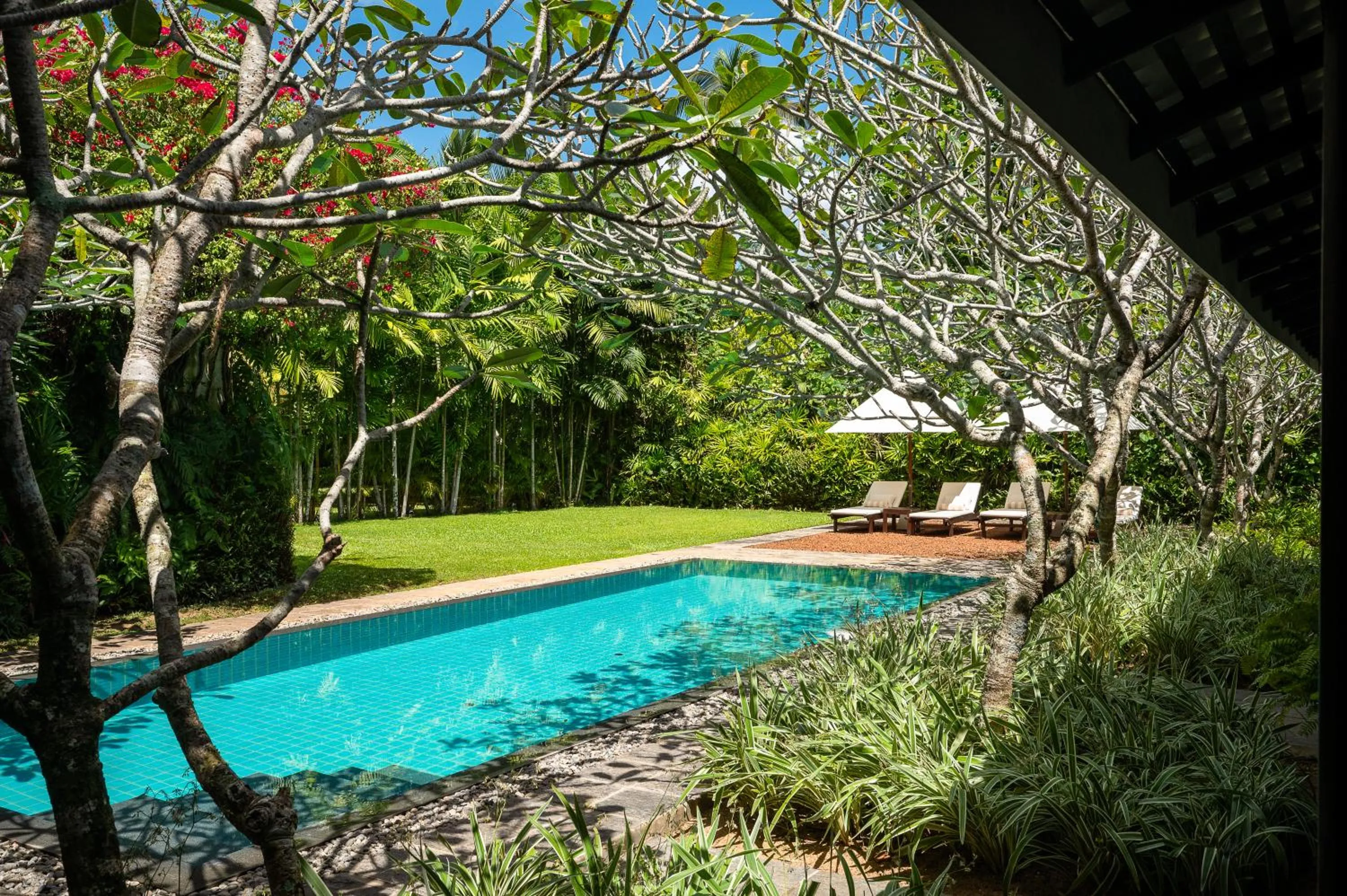Garden view in Nyne Hotels Rock Villa - Bentota